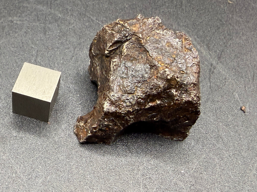 Kaalijarv iron meteorite, IAB-MG, 67.48 g end cut, natural weathered exterior seen from above, brown and dark gray with rough relief