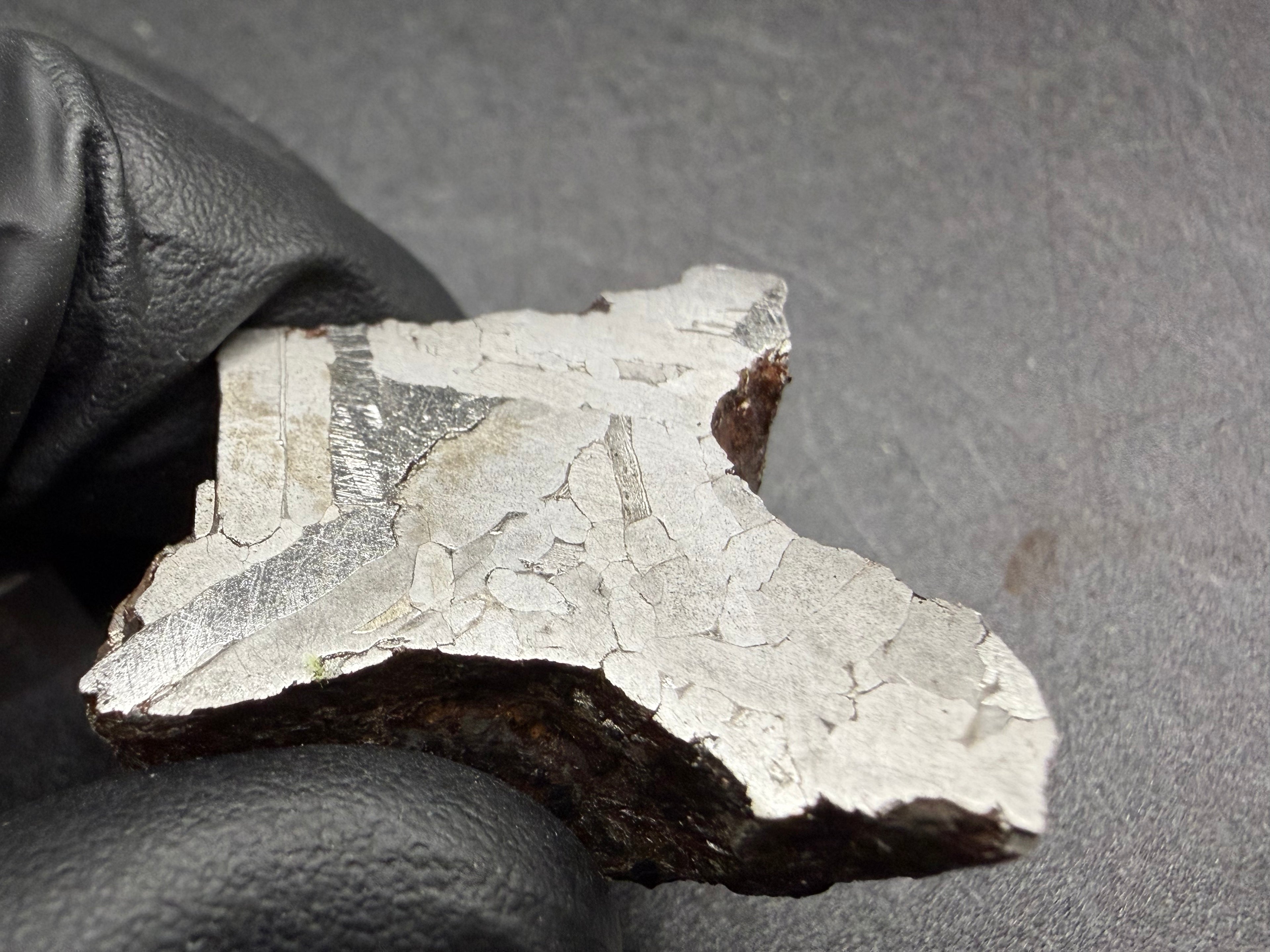 Kaalijarv iron meteorite, IAB-MG, 67.48 g end cut held in a gloved hand, etched cut face under bright light showing large lighter crystal zones and narrow darker bands
