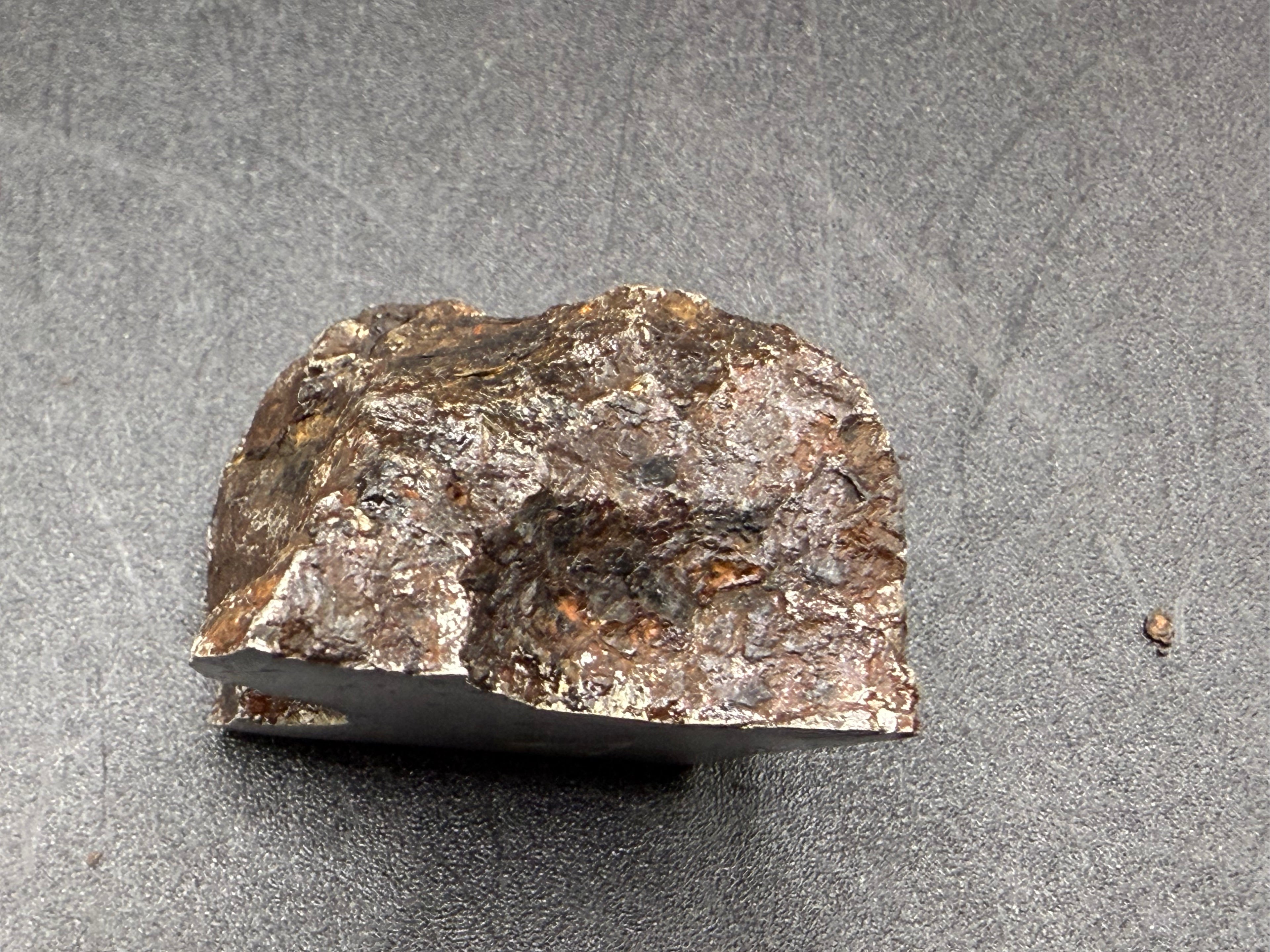 Kaalijarv iron meteorite, IAB-MG, 67.48 g end cut, natural weathered exterior of the back, resting on the cut face