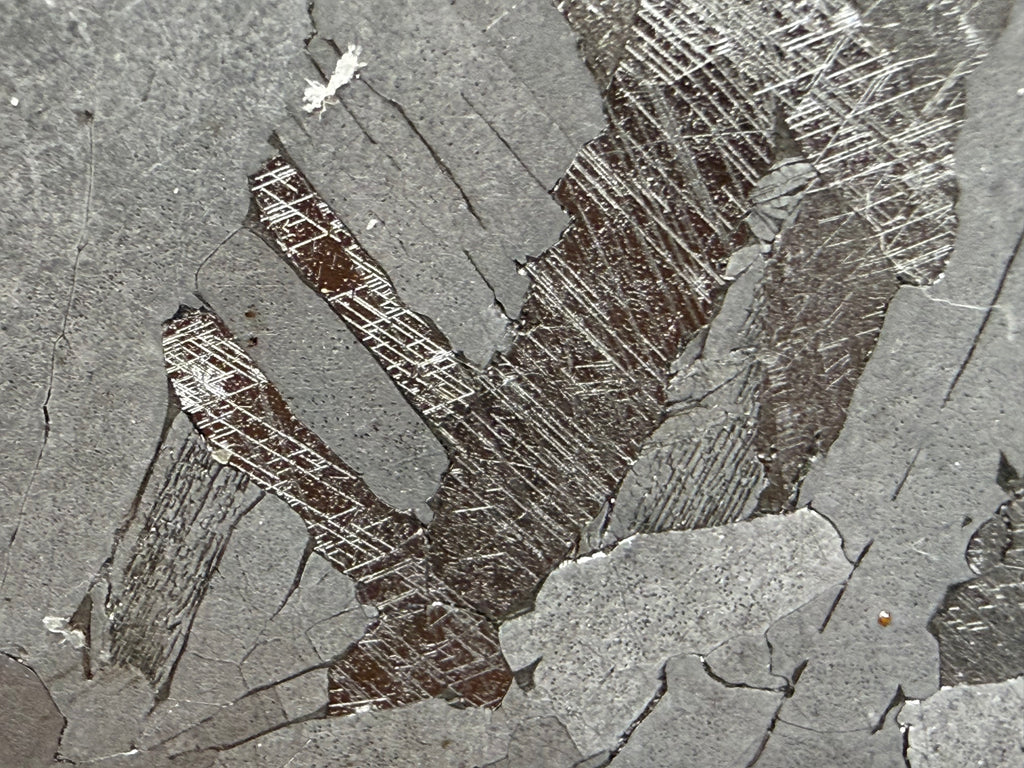 Kaalijärv IAB-MG meteorite 27.00g -- parallel shock deformation twins visible across etched kamacite plates