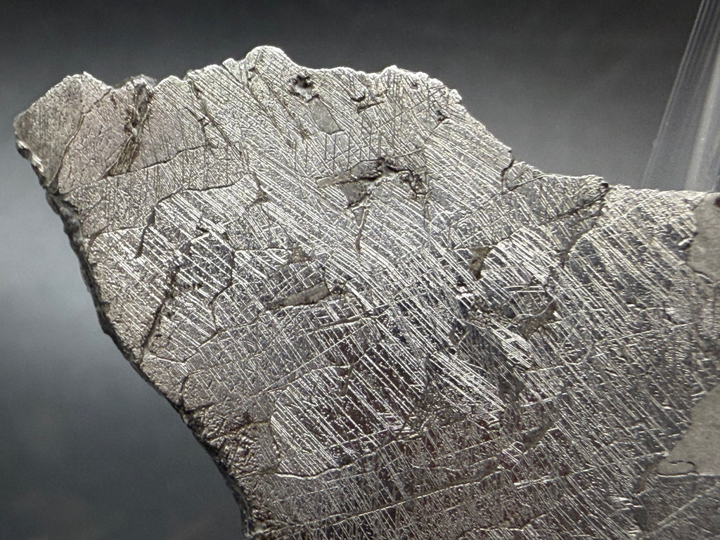 Close-up of Neumann bands in Kaalijärv iron meteorite kamacite crystals, left section, 33.38g slice