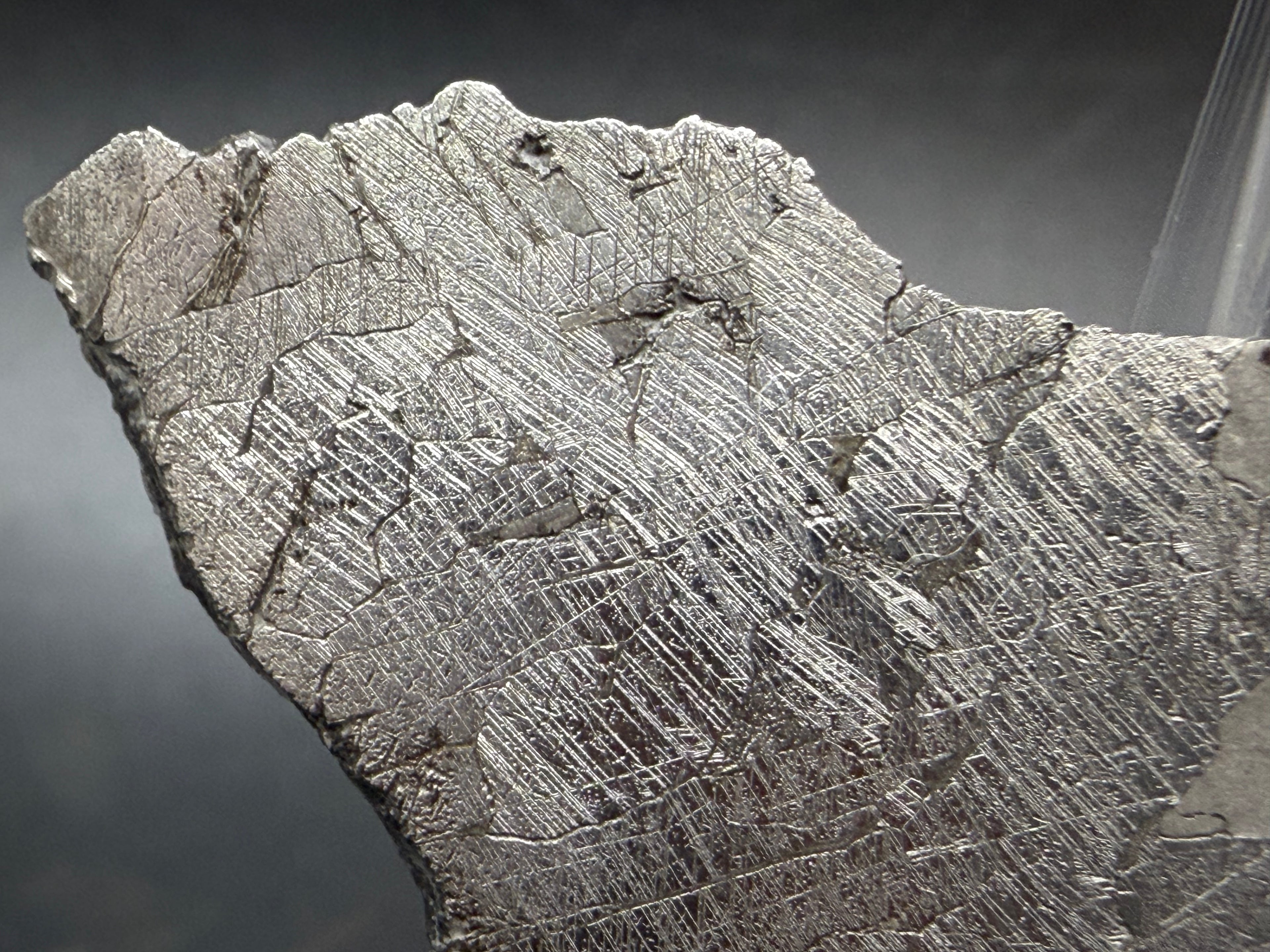 Close-up of Neumann bands in Kaalijärv iron meteorite kamacite crystals, left section, 33.38g slice