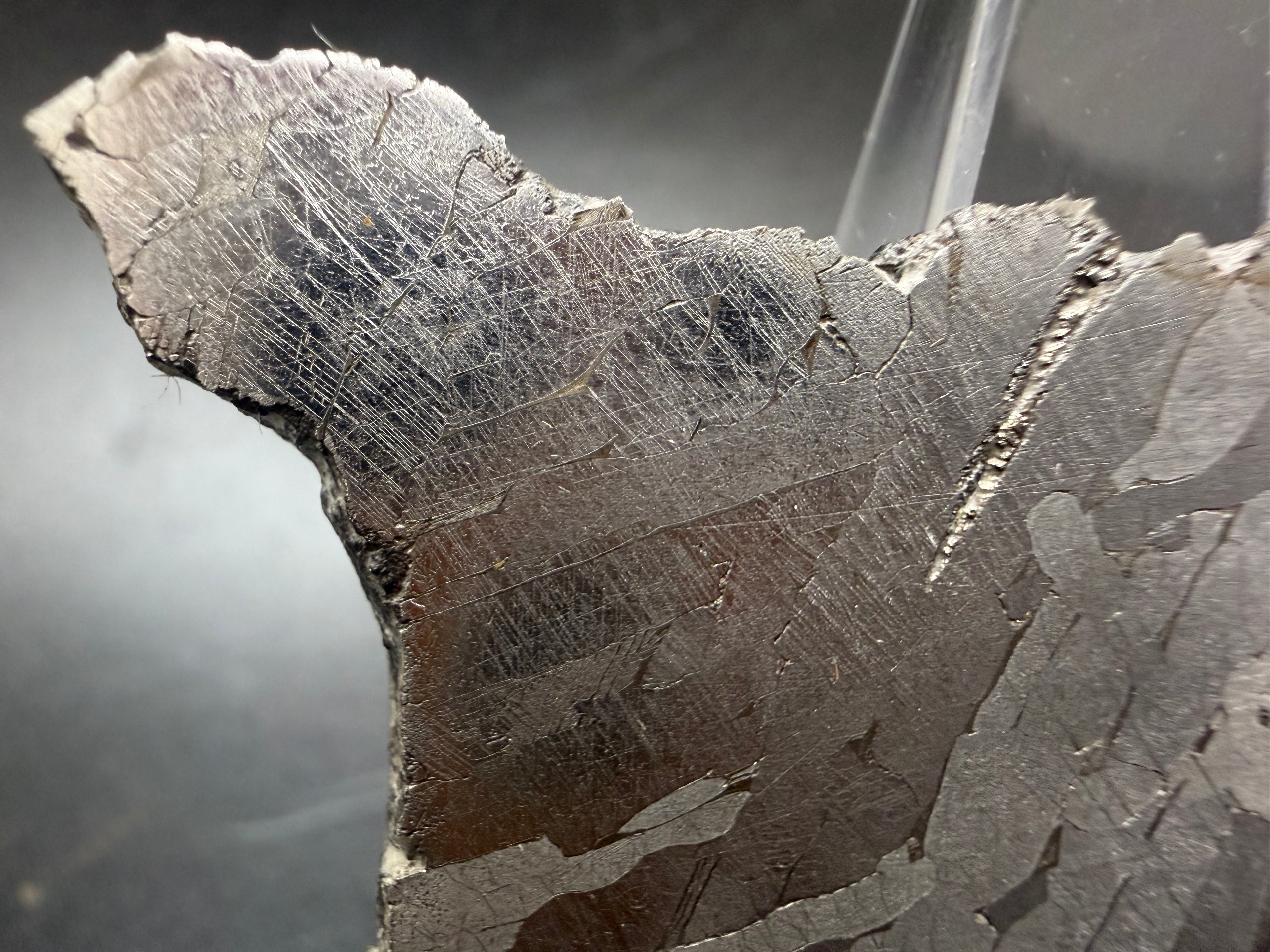 Close-up of Neumann bands in Kaalijärv iron meteorite kamacite crystals, right section