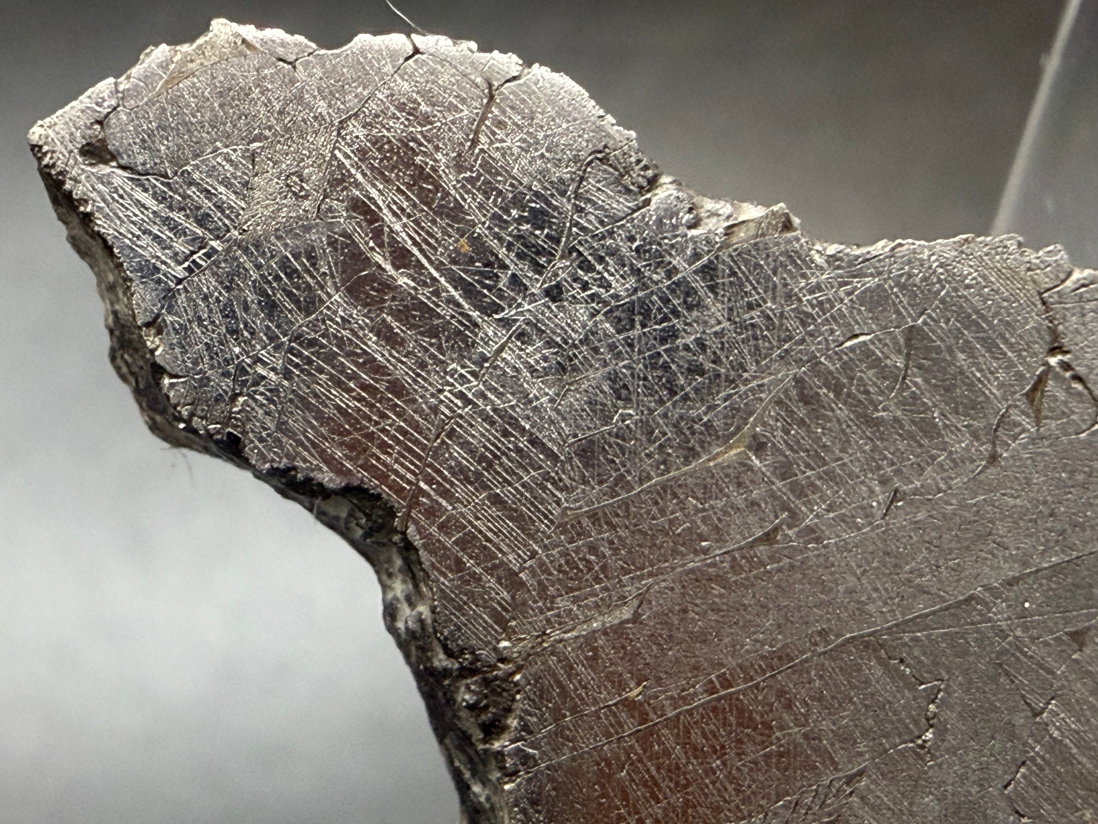 Close-up of Neumann bands in Kaalijärv iron meteorite kamacite crystals, left section