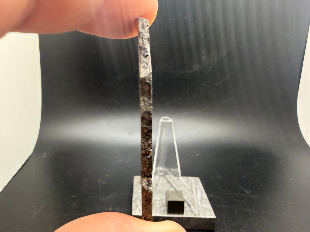 Kaalijärv iron meteorite slice edge side with scale reference