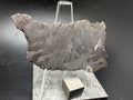 Kaalijärv IAB-MG iron meteorite slice 28.56g on acrylic display stand, full specimen view