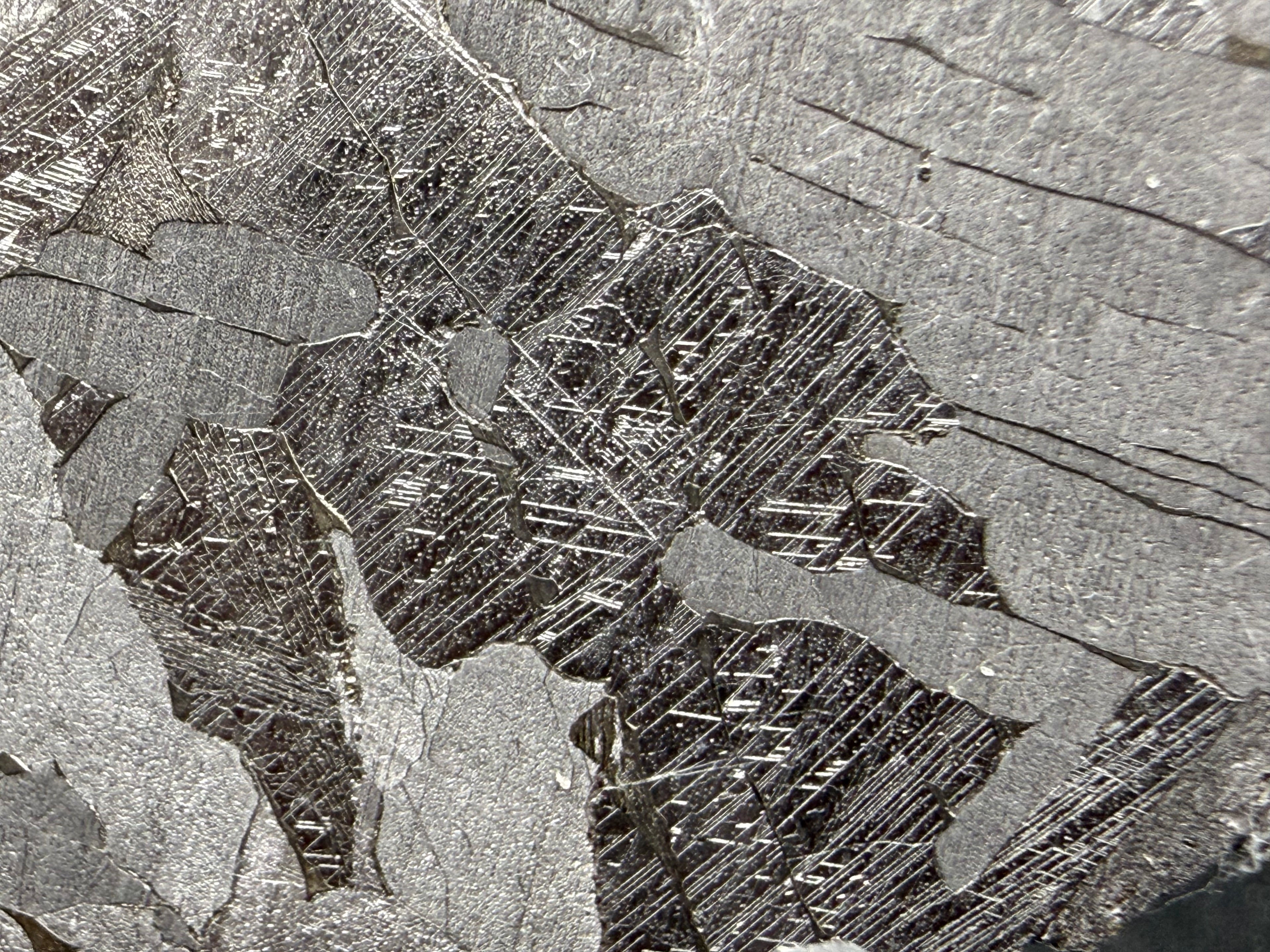 Kaalijärv IAB-MG slice 27.00g -- multiple Neumann band orientations across adjacent kamacite crystals