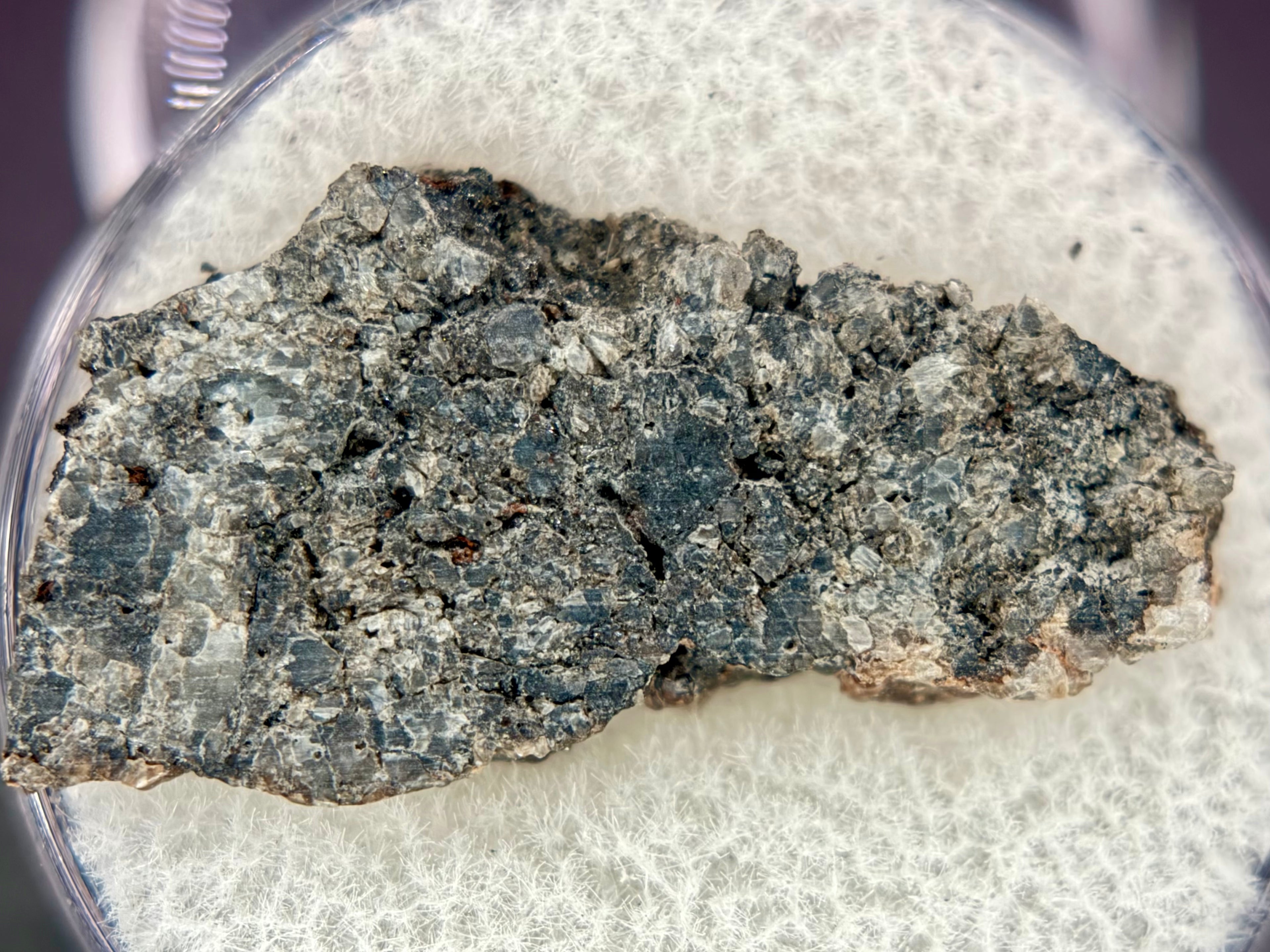 Full slice of Ksar Ghilane 022 ungrouped achondrite meteorite showing secondary calcite veining crossing pyroxene-dominated texture, 1.75g