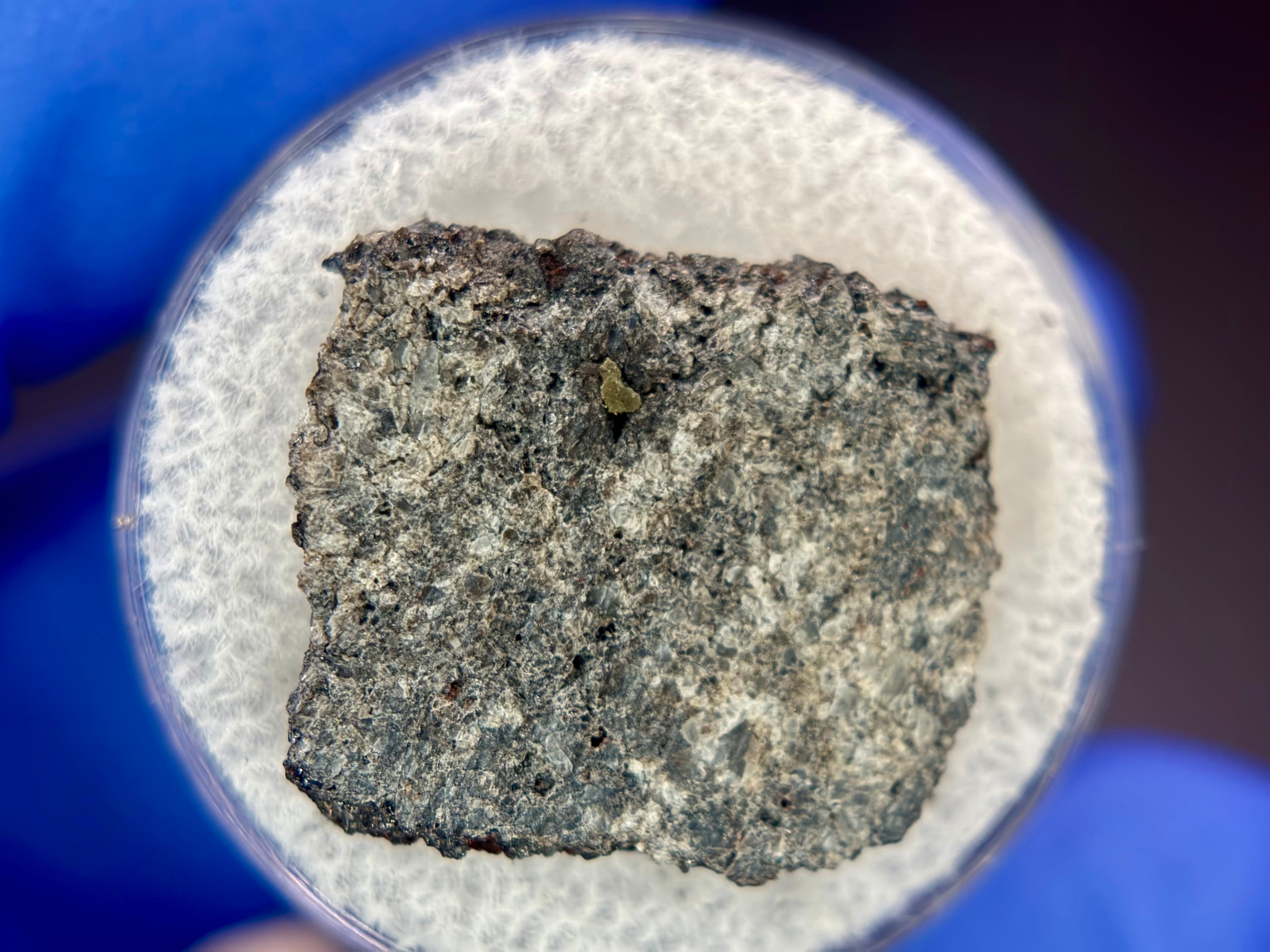 Capsule held in gloved hand of Ksar Ghilane 022 ungrouped achondrite meteorite slice showing pyroxene-dominated fabric with Cr-troilite and daubreelite inclusions, 2.33g