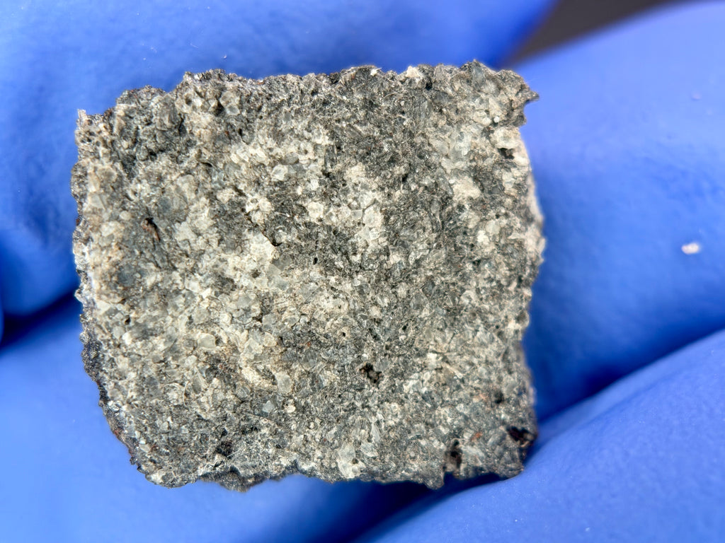Full slice view of Ksar Ghilane 022 ungrouped achondrite meteorite on gloved hand showing differentiated asteroidal material texture, 2.33g