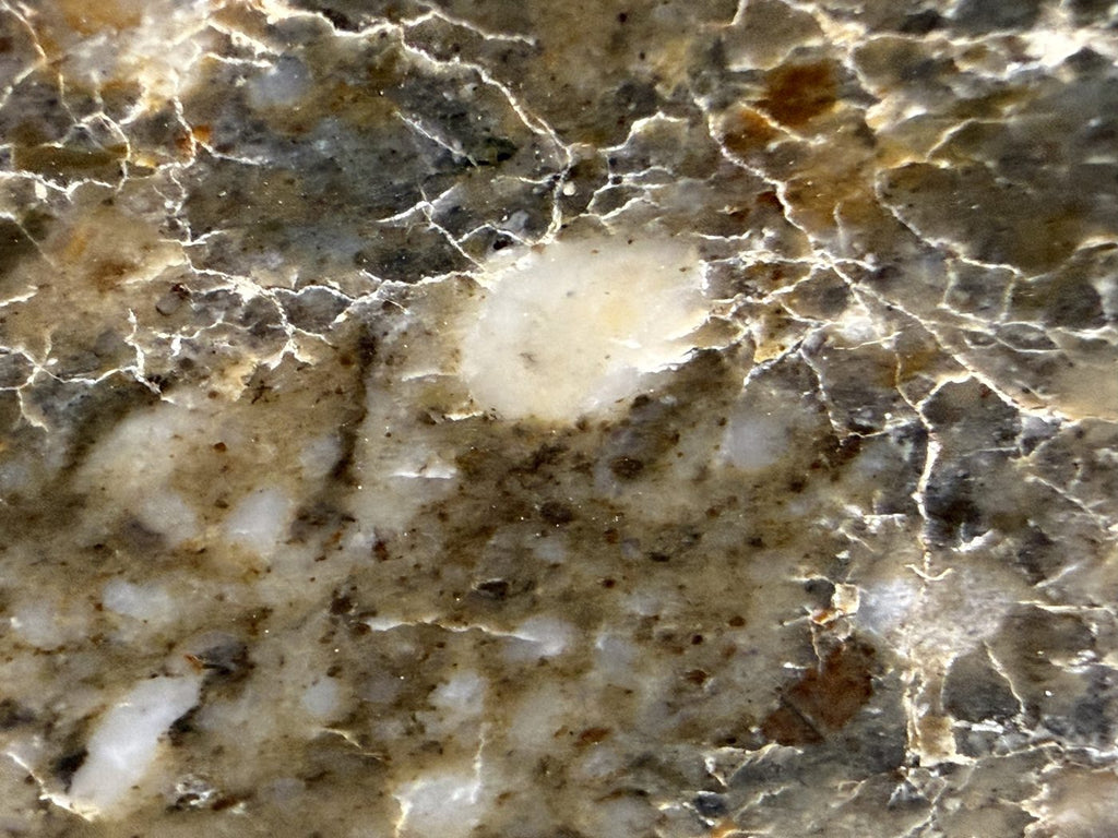 Macro view of Laayoune 002 lunar meteorite showing angular mineral clasts in the breccia matrix, 6.60g