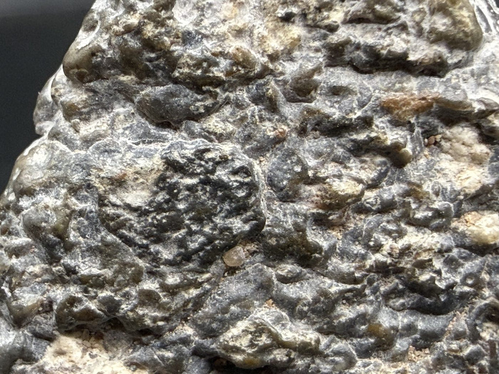 Macro view of Laayoune 002 lunar meteorite exterior showing whitish clasts standing out in relief, 6.60g