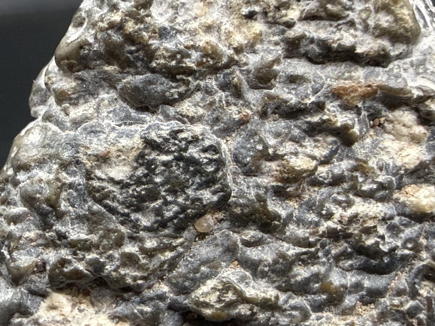 Macro view of Laayoune 002 lunar meteorite exterior showing whitish clasts standing out in relief, 6.60g