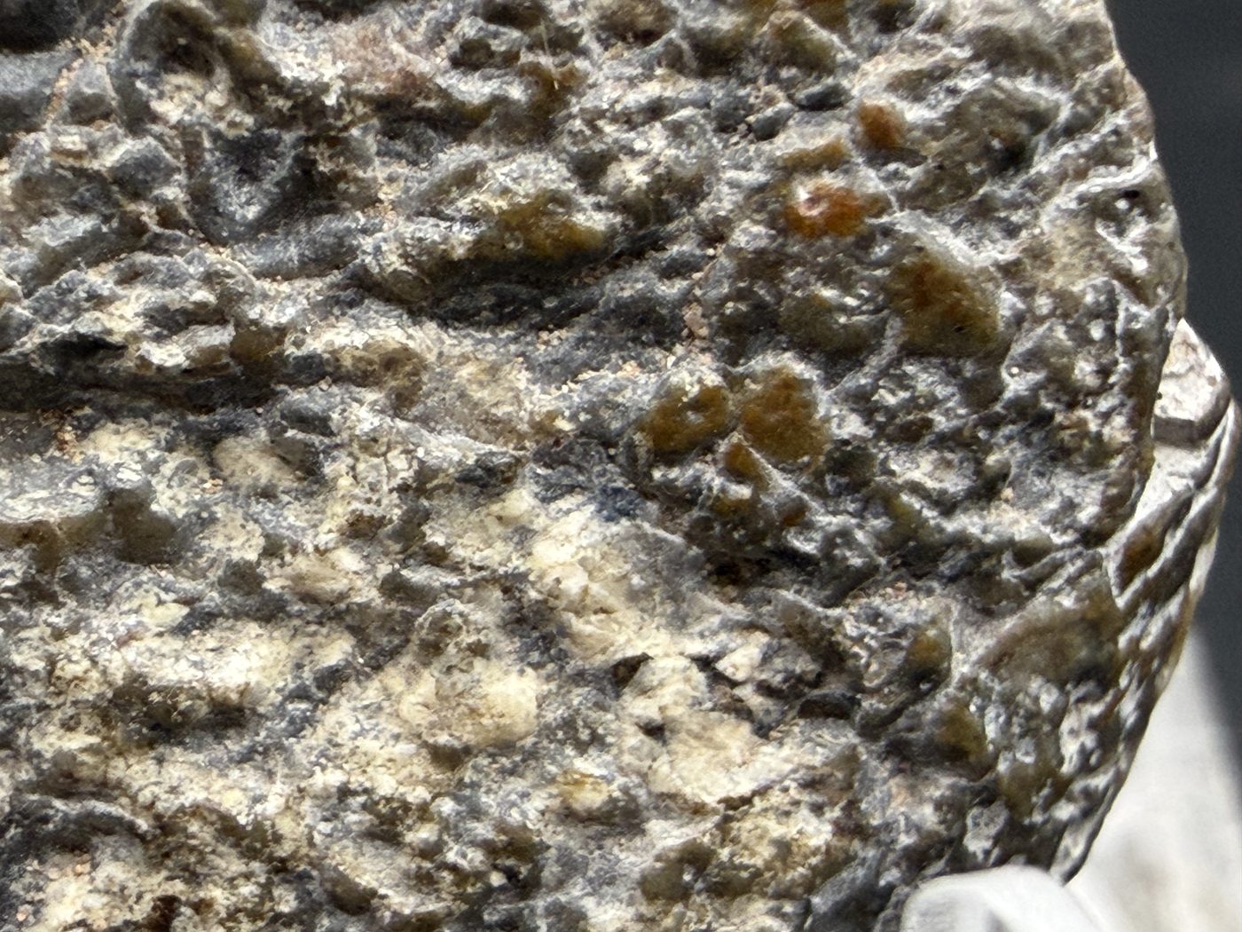 Macro view of Laayoune 002 lunar meteorite showing the rough grey exterior surface texture, 6.60g