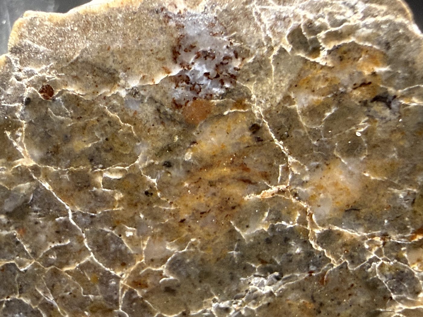 Macro view of Laayoune 002 lunar meteorite showing the pale vein network crossing the cut face, 6.60g