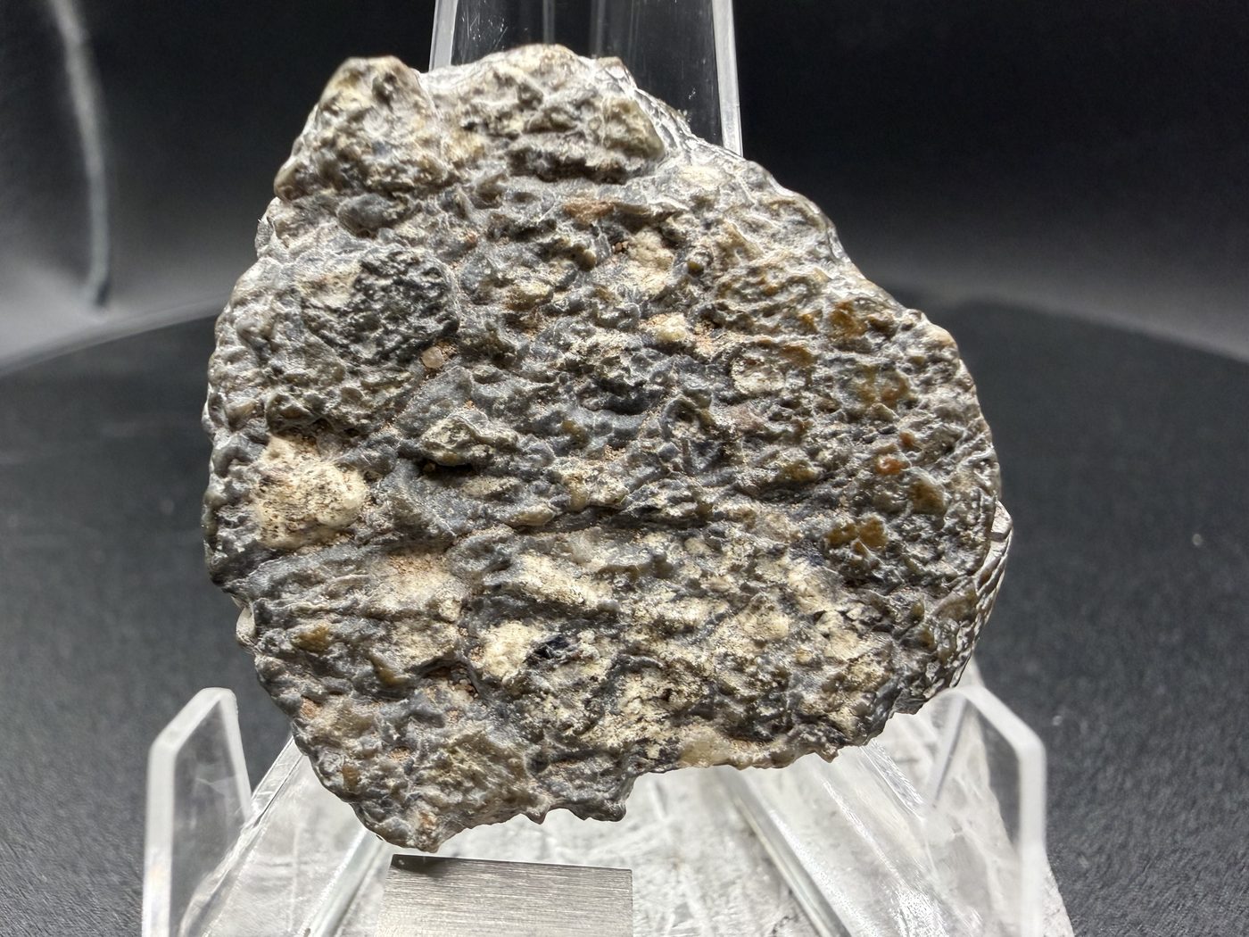 Exterior face of Laayoune 002 lunar meteorite showing the original grey surface with whitish clasts, 6.60g