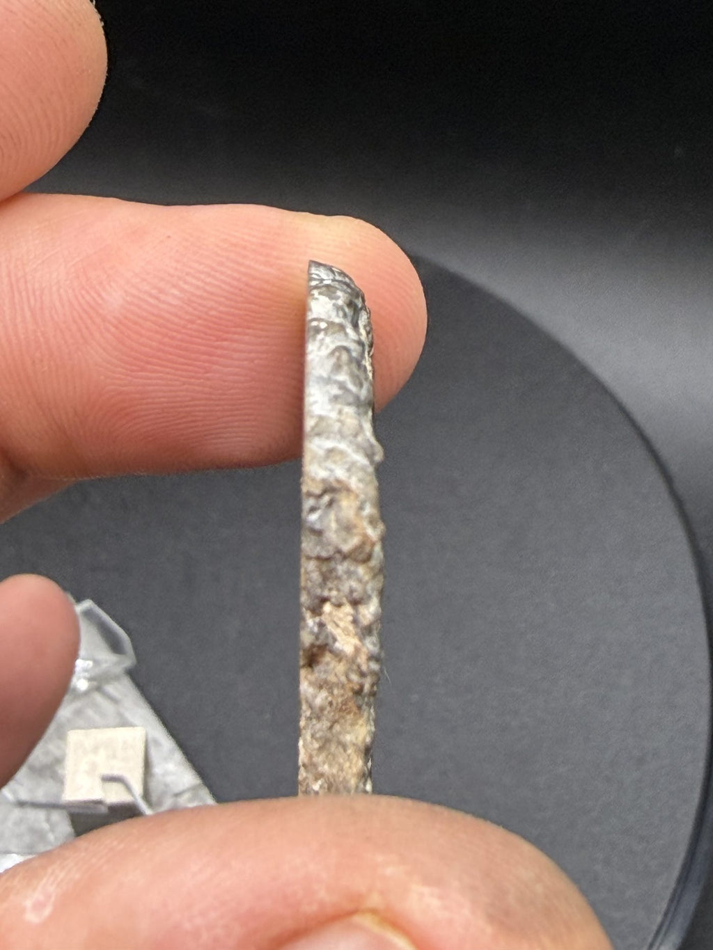 Laayoune 002 lunar meteorite end cut held between fingers showing its thickness, 6.60g