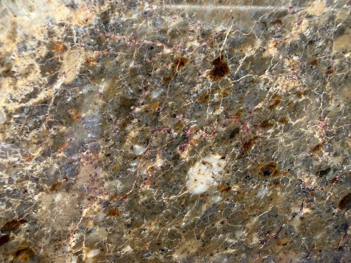 Laayoune 002 lunar feldspathic breccia, macro detail of whitish anorthite clasts against darker matrix