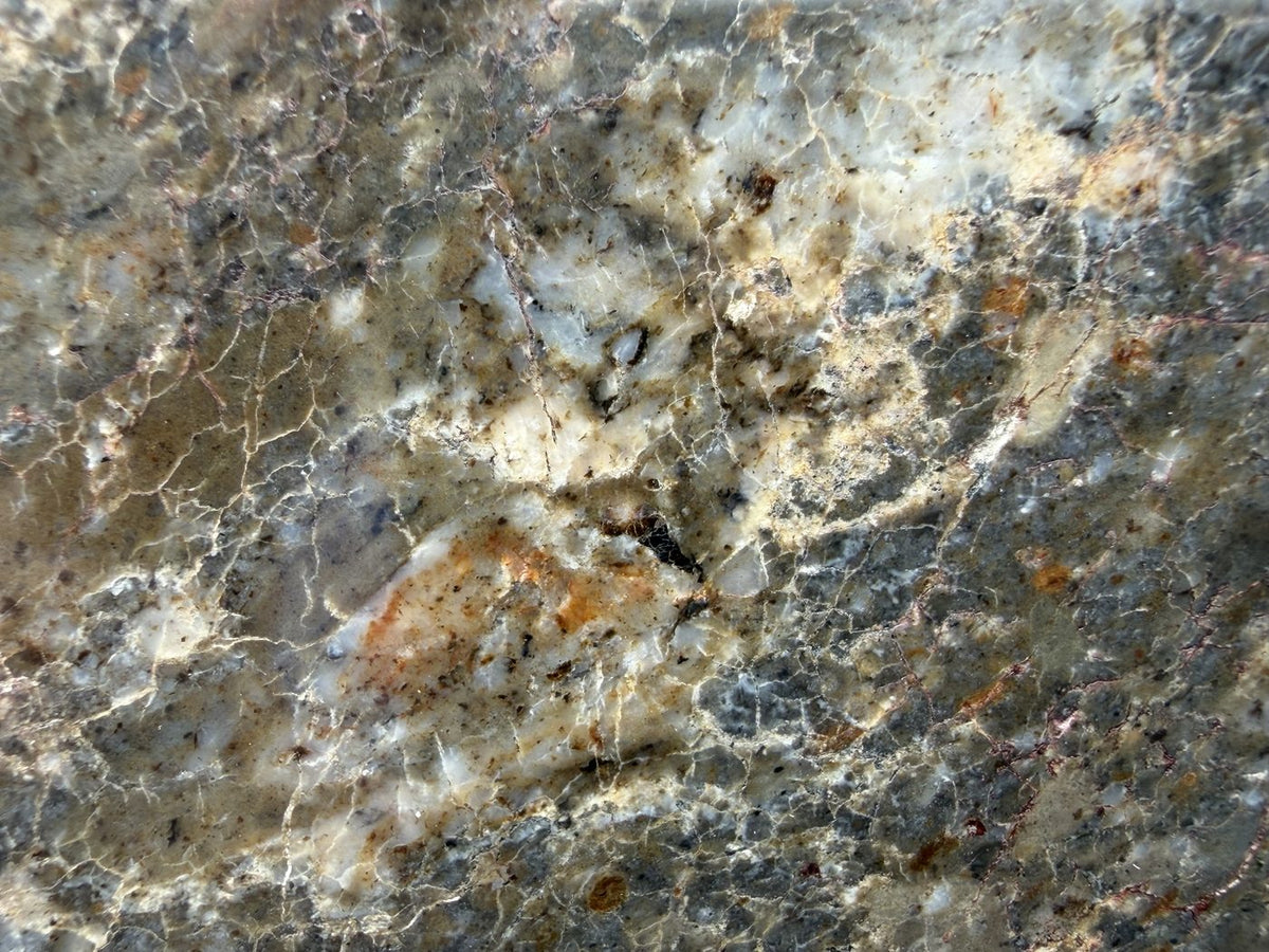 Laayoune 002 lunar feldspathic breccia, macro detail of the branching pale veining across the cut face