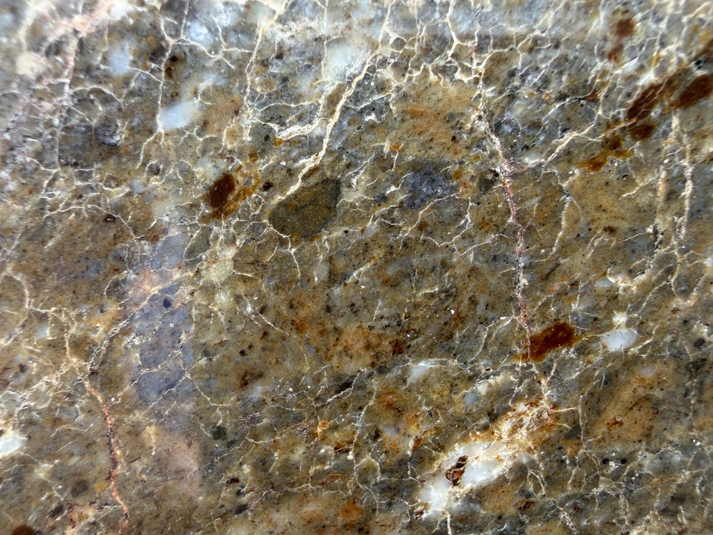Laayoune 002 lunar feldspathic breccia, macro detail of orange brown and gray blue clasts