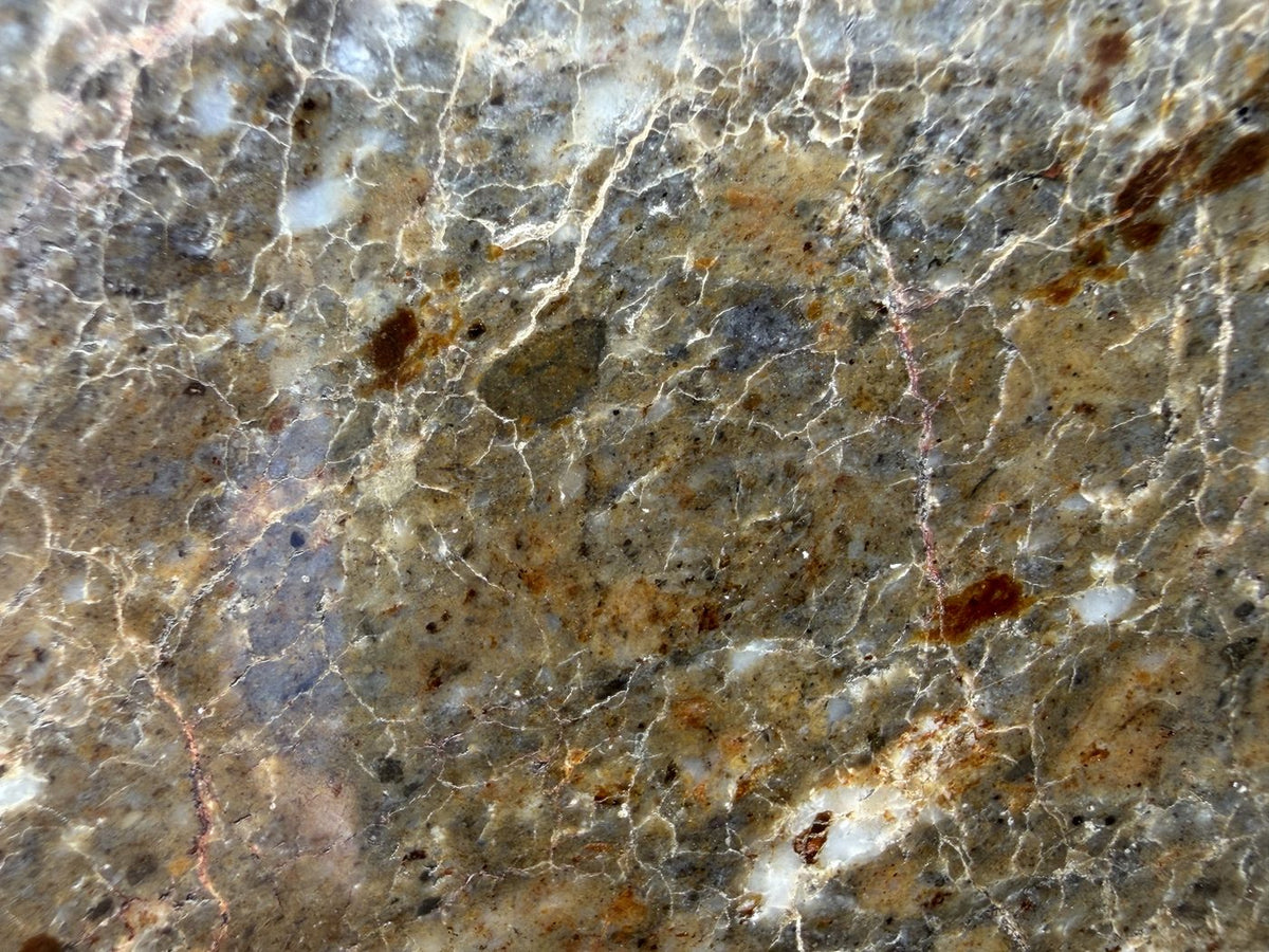 Laayoune 002 lunar feldspathic breccia, macro detail of orange brown and gray blue clasts
