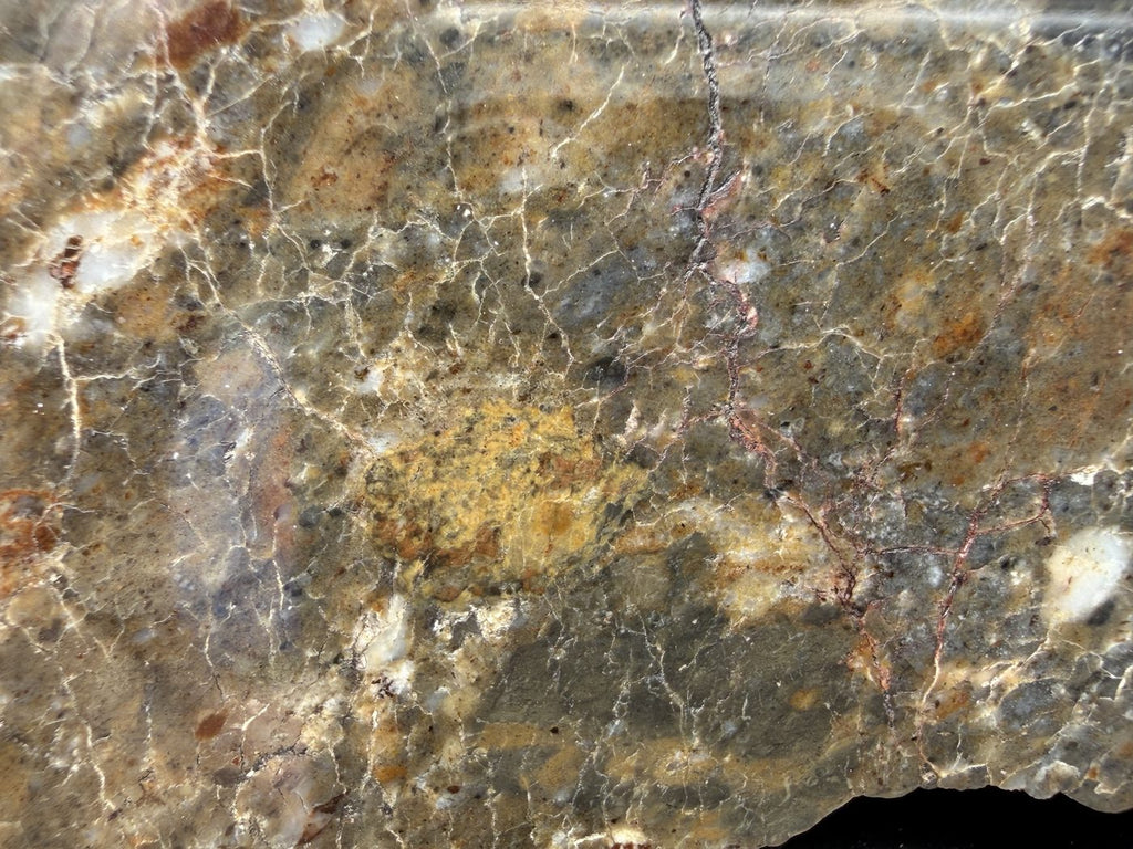 Laayoune 002 lunar feldspathic breccia, macro detail of dark inclusions in the polished face