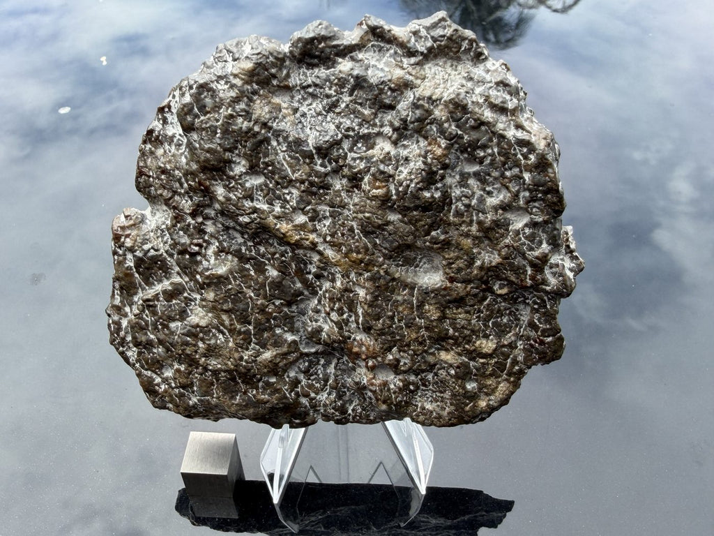 Laayoune 002 lunar meteorite end cut, 116.40 g, natural uncut exterior surface of the stone