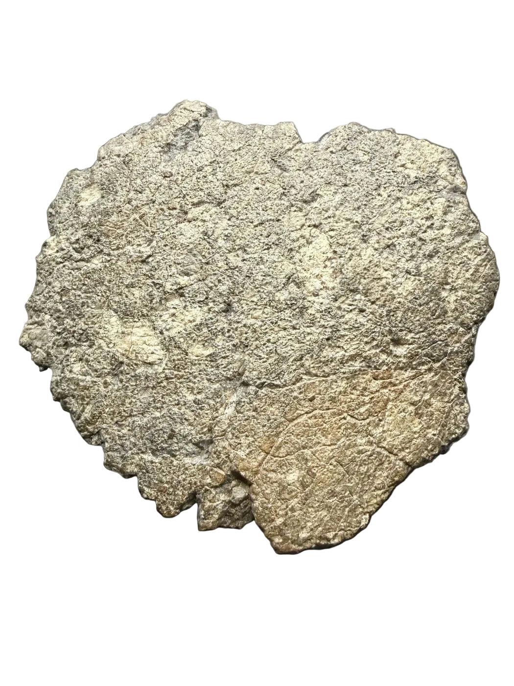 Laayoune 002 lunar meteorite complete individual, 316.21 grams, domed face with a scale cube