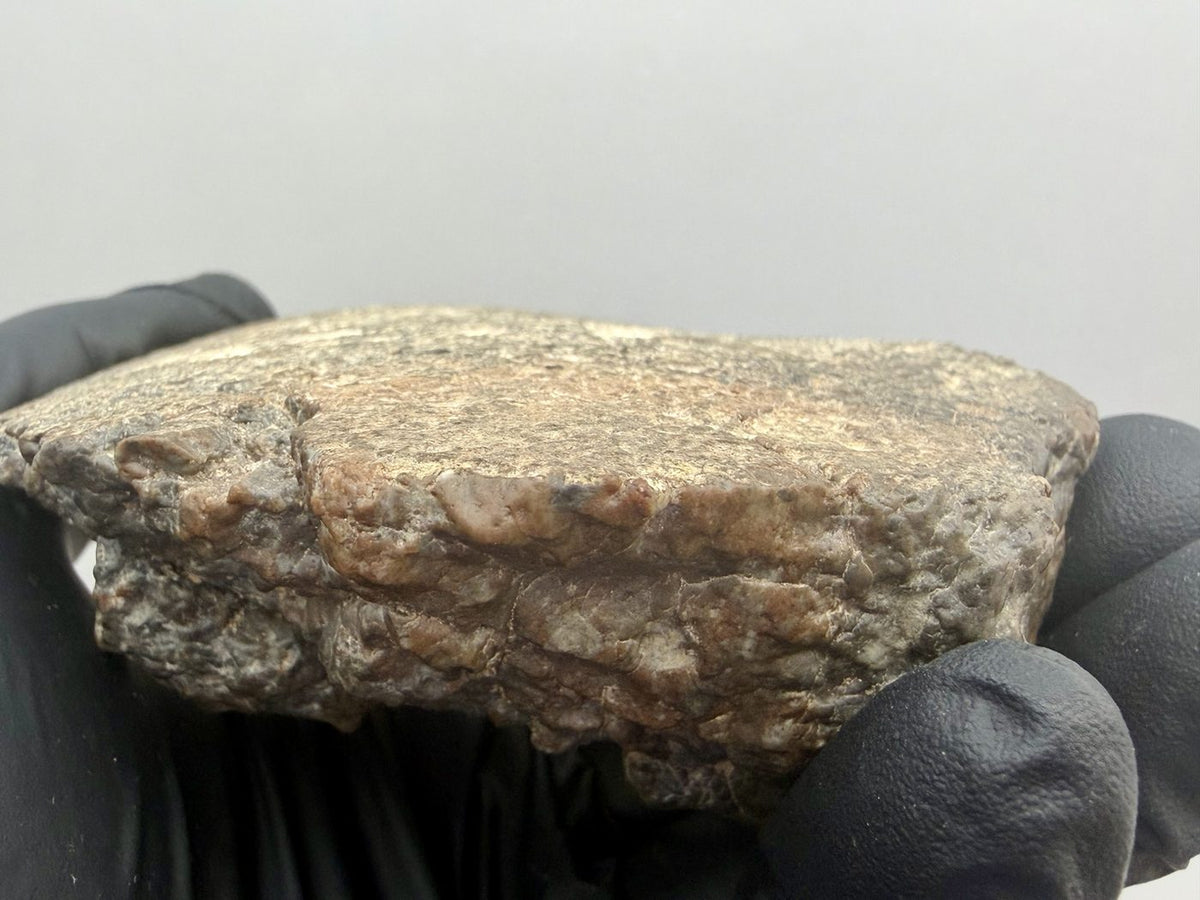Edge profile of the 316.21 gram Laayoune 002 lunar individual