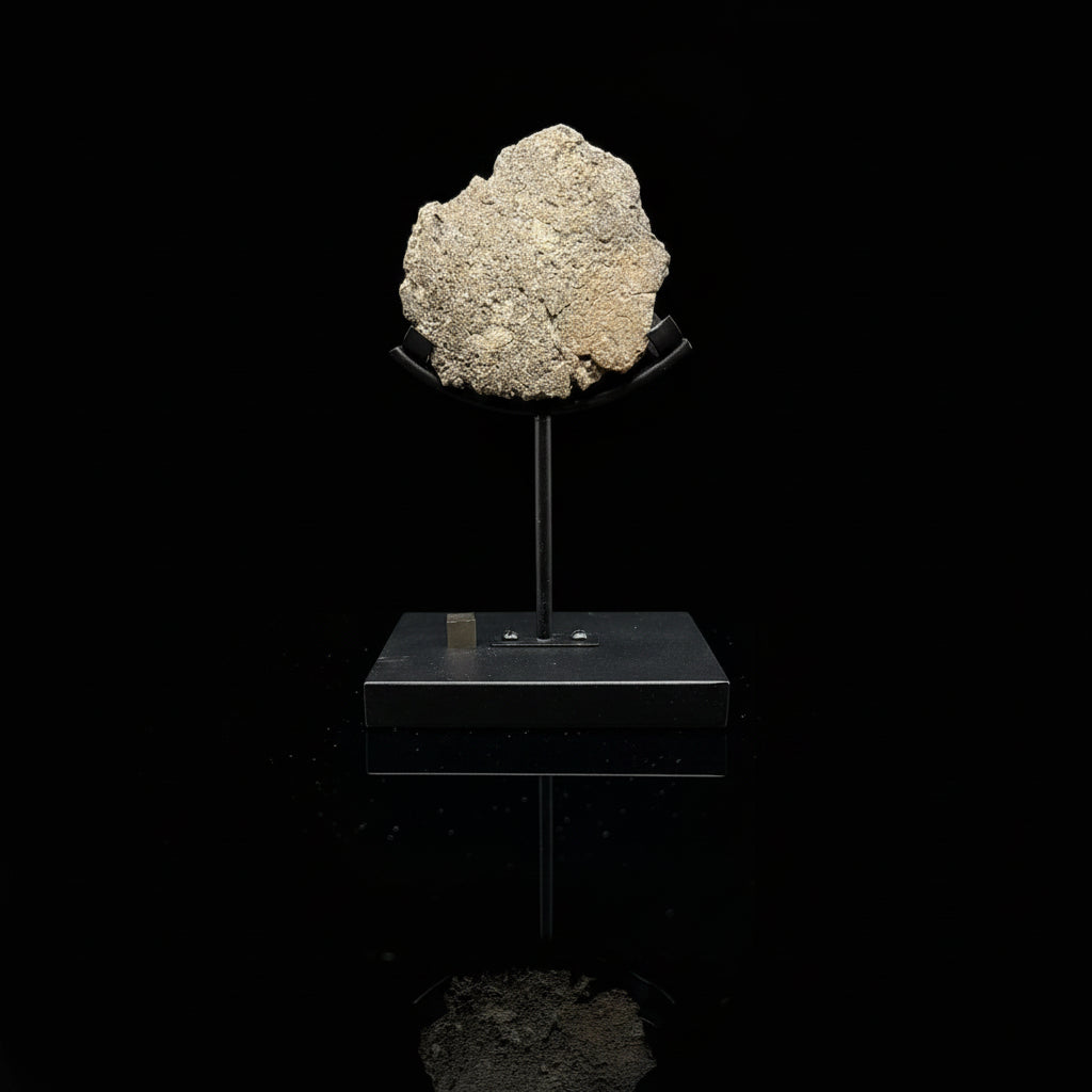 Laayoune 002 lunar meteorite complete individual, 316.21 grams, domed face on a display stand.