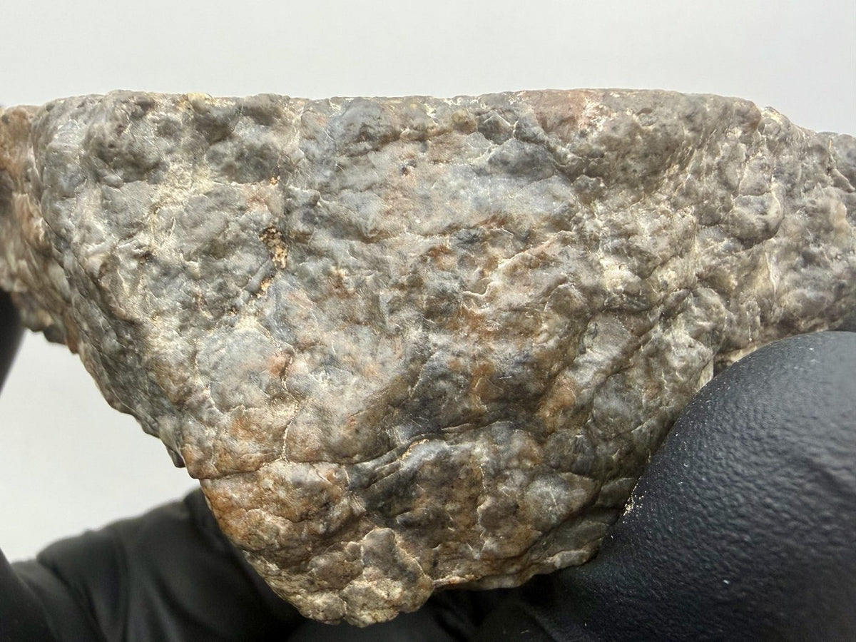 Close view of the wind-smoothed reverse surface of the Laayoune 002 lunar individual
