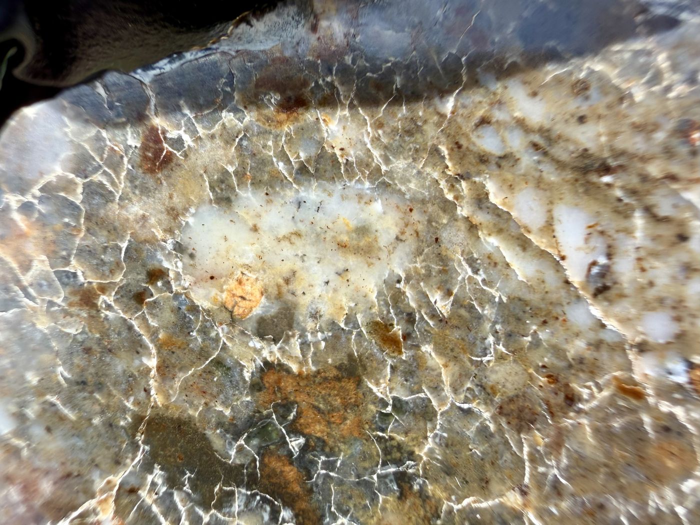 Laayoune 002 lunar feldspathic breccia, close-up of the polished face showing pale clasts and vein network