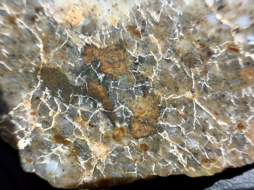 Laayoune 002 lunar feldspathic breccia, polished surface detail with gray lithic clasts and iron staining