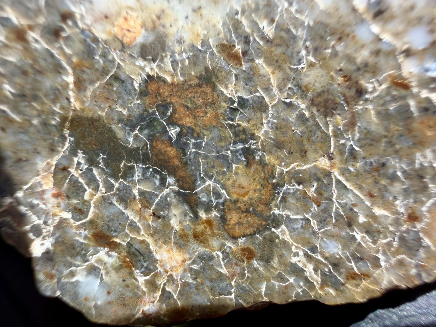 Laayoune 002 lunar feldspathic breccia, polished surface detail with gray lithic clasts and iron staining
