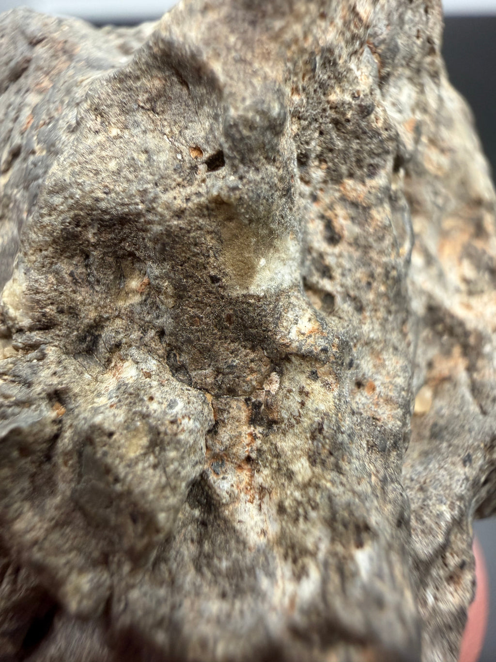 Laayoune 002 Moon meteorite 31.95g -- complete natural form showing impact-generated breccia texture throughout