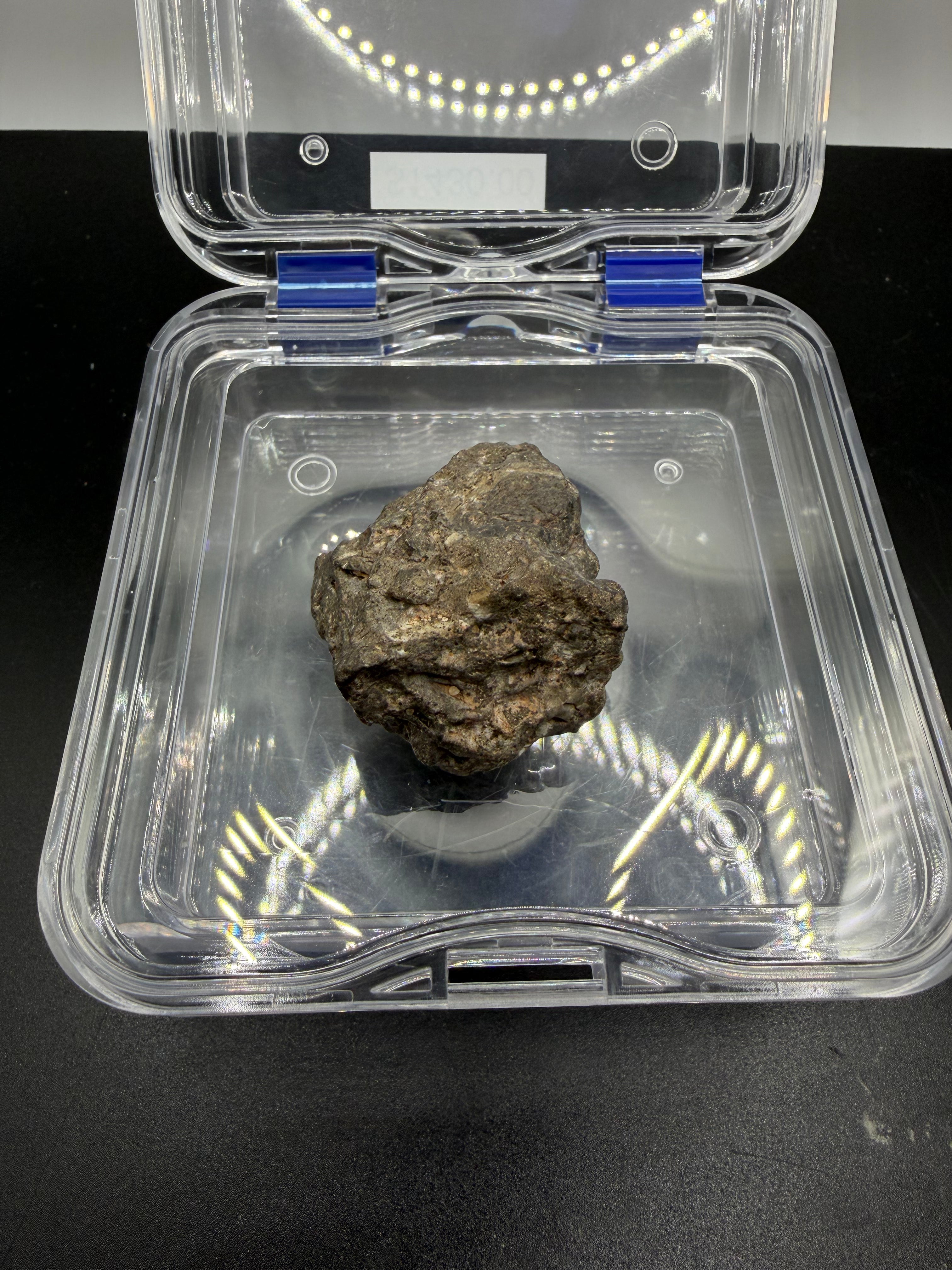 Side view of Laayoune 002 lunar feldspathic breccia meteorite displaying characteristic Moon rock features