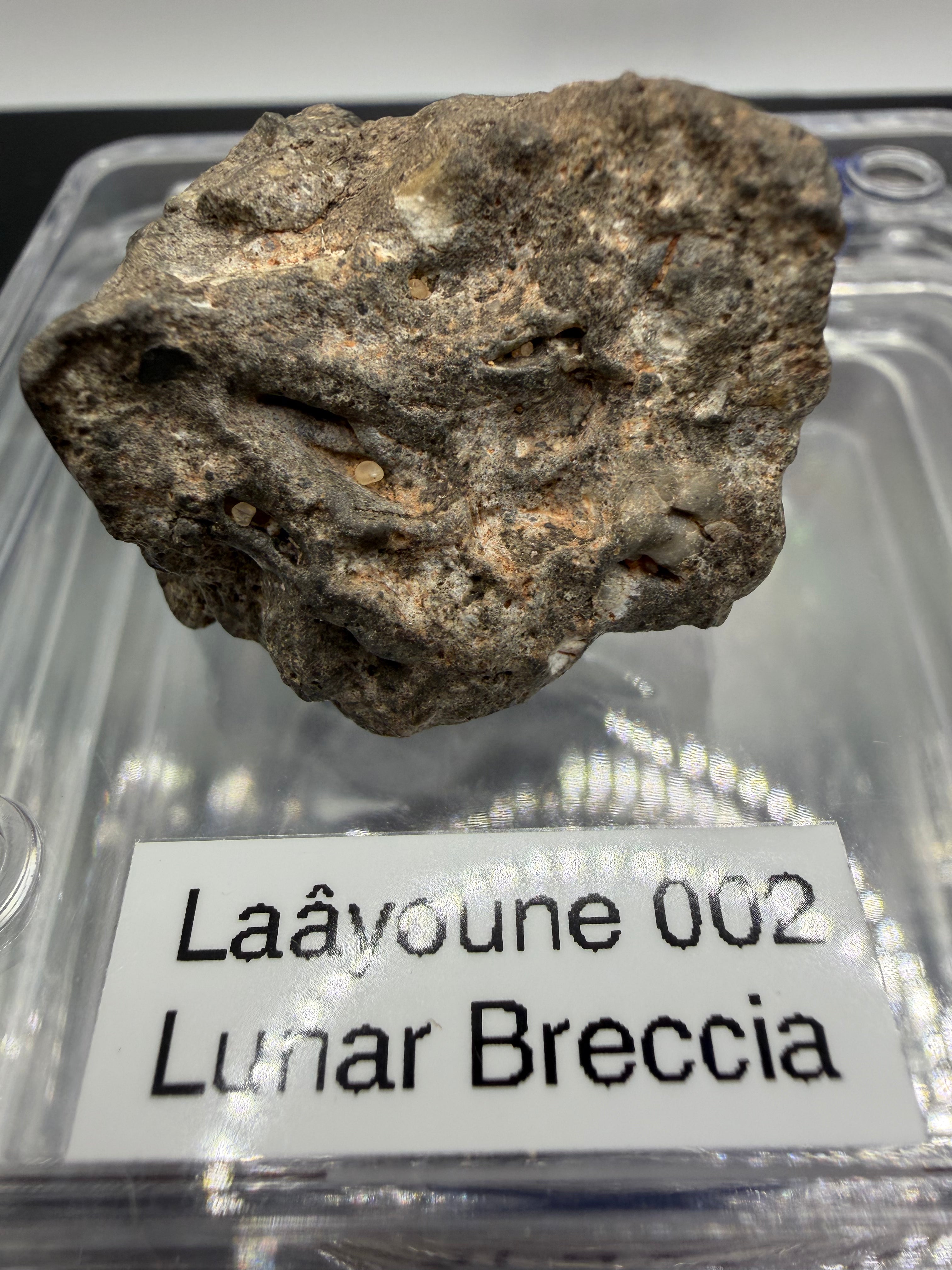 Alternate side view of 31.95g Laayoune 002 lunar meteorite showing surface detail and texture