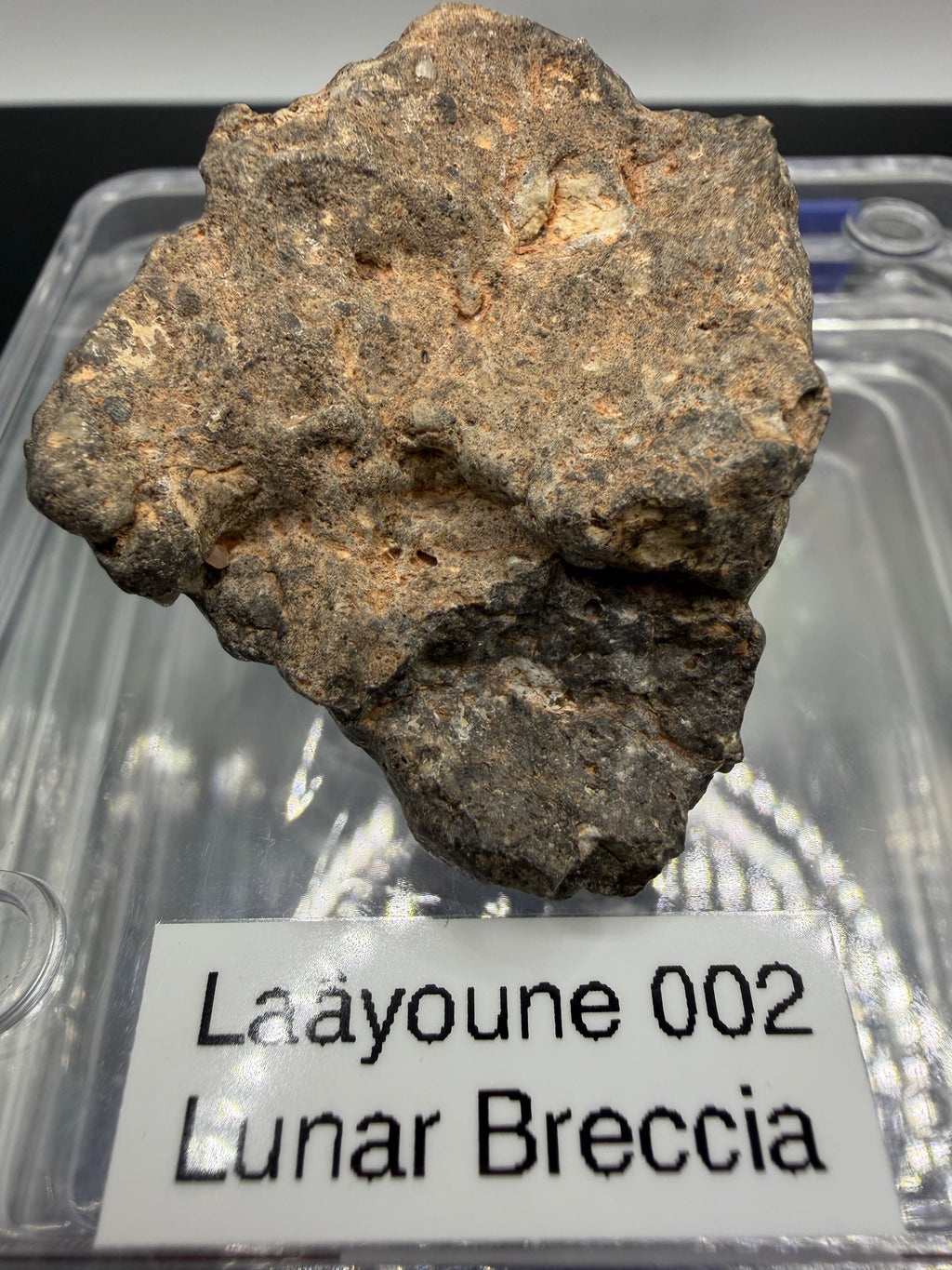 Laayoune 002 lunar meteorite 31.95g -- plagioclase-rich clasts embedded in fine-grained impact matrix