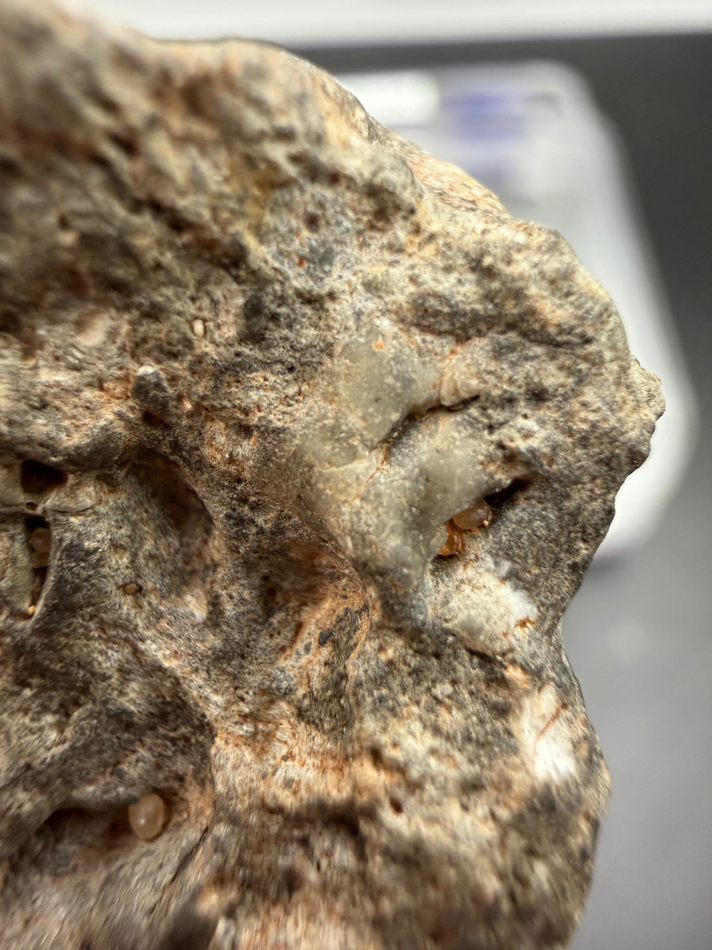 Laayoune 002 lunar individual 31.95g -- pale gray coloration characteristic of Moon's ancient highland crust