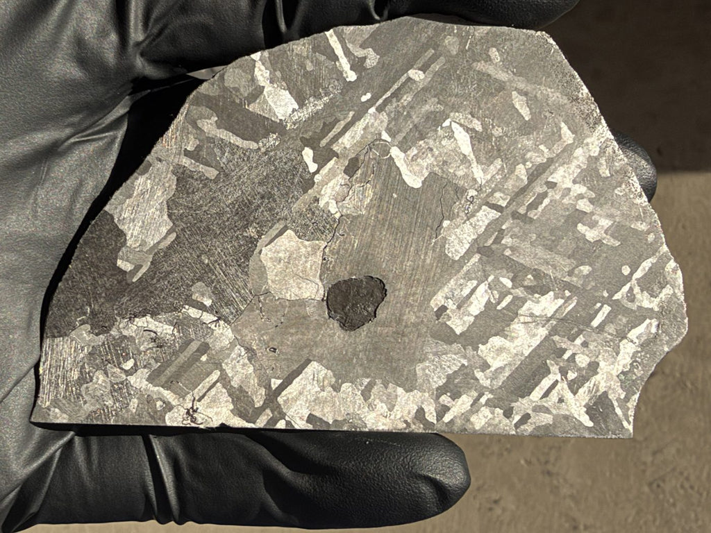 Mount Dooling iron meteorite, IC, 105.76 g slice held in a gloved hand in daylight, polished and etched face with crossing kamacite plates and a dark inclusion