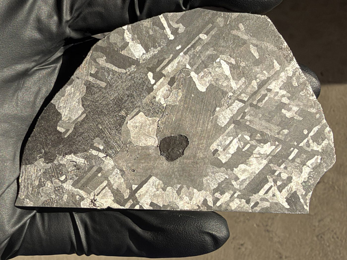 Mount Dooling iron meteorite, IC, 105.76 g slice held in a gloved hand in daylight, polished and etched face with crossing kamacite plates and a dark inclusion