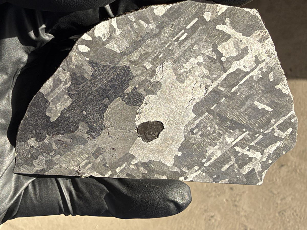 Mount Dooling iron meteorite, IC, 105.76 g slice in daylight, polished and etched face angled to show the large metal grains in contrasting tones around the dark inclusion