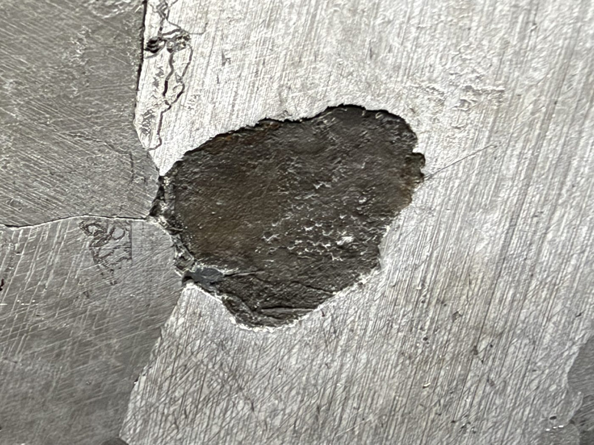 Mount Dooling iron meteorite, IC, 105.76 g slice, close-up of the dark oval inclusion on the polished and etched face, set against etched metal grains