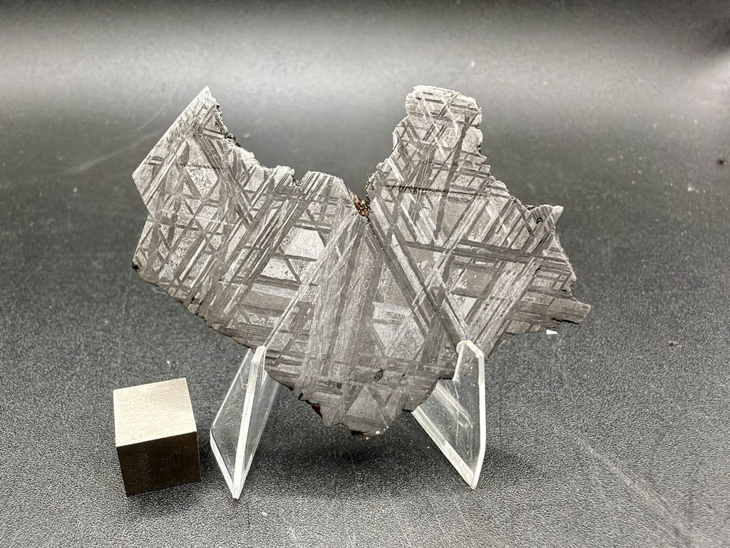 Muonionalusta 33.46g slice standing upright, polished and etched face