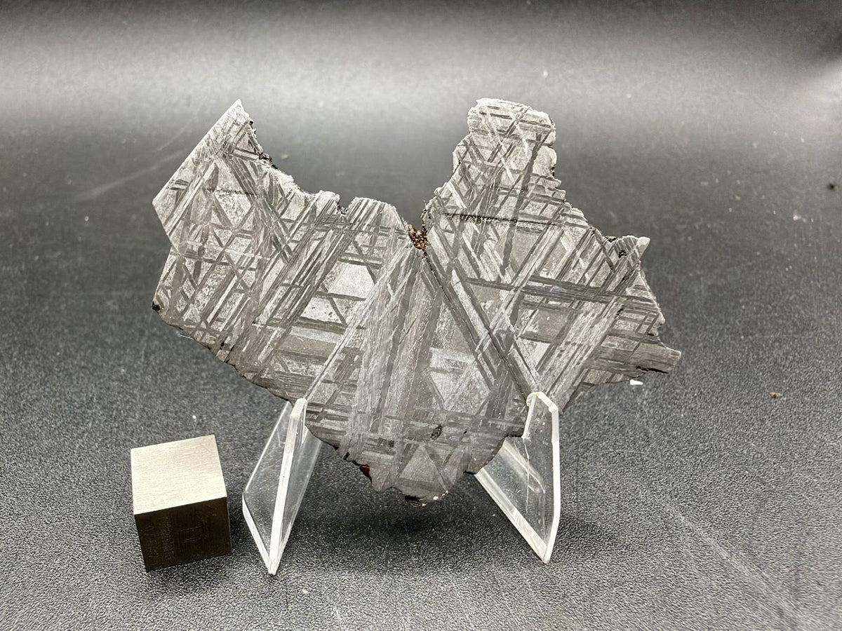 Muonionalusta 33.46g slice standing upright, polished and etched face