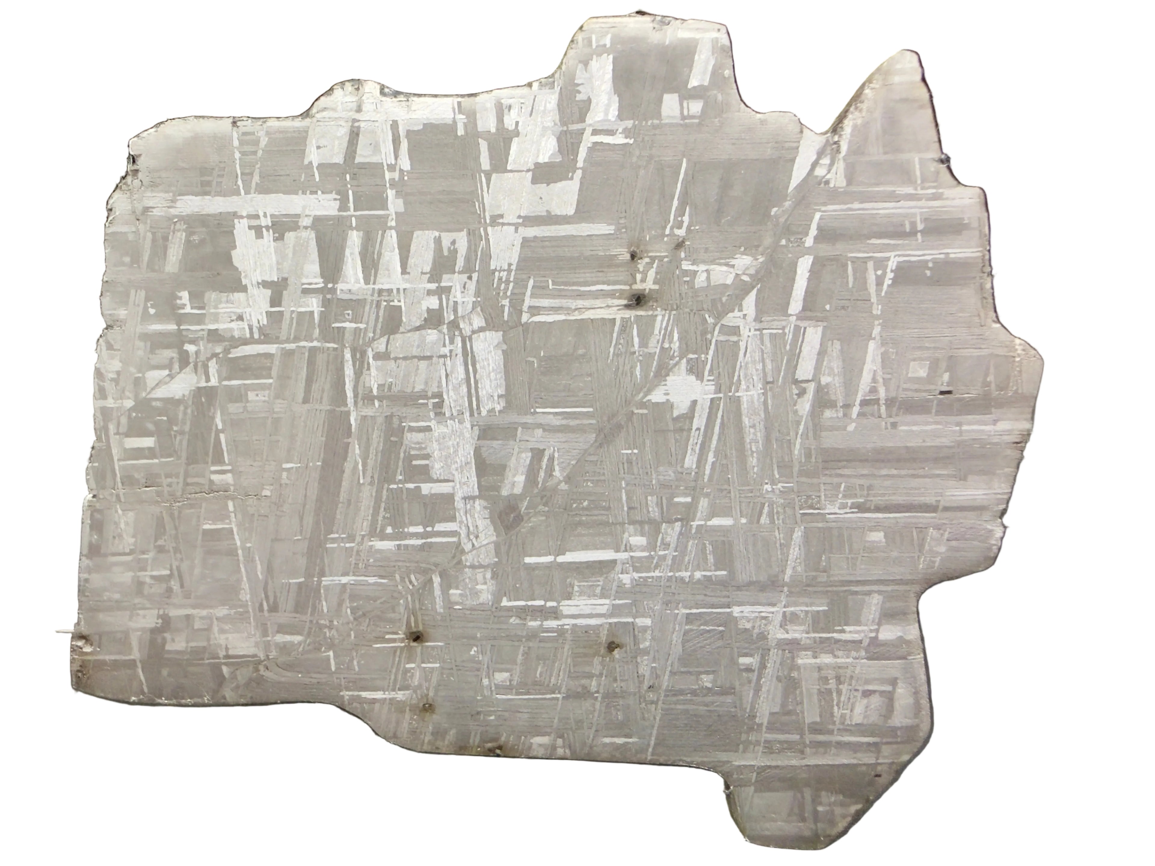 Back side view of Muonionalusta iron meteorite slice showing full Widmanstätten pattern, 292.00g