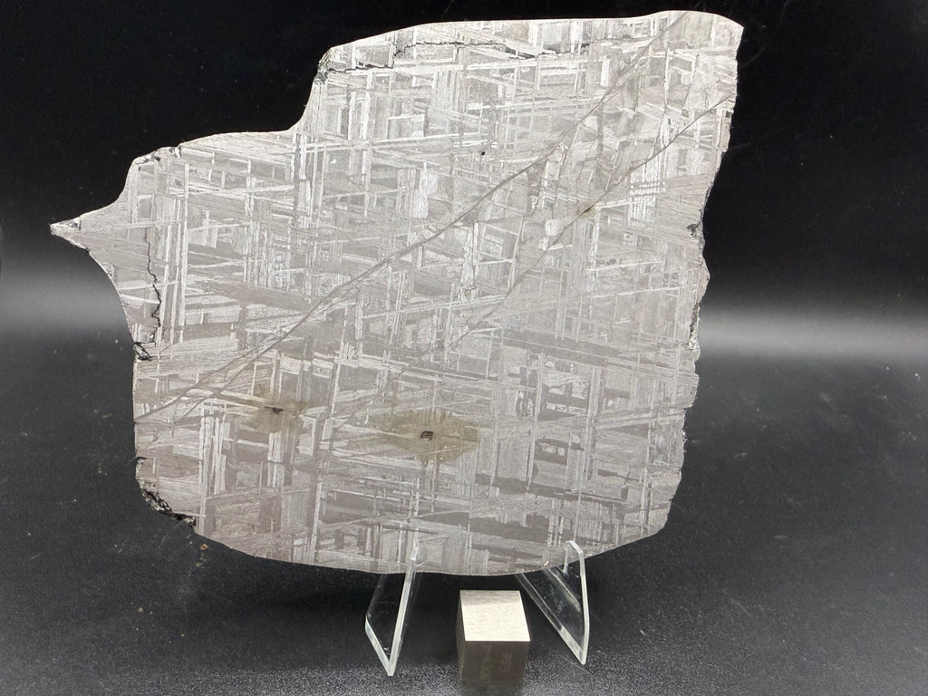 Muonionalusta iron meteorite slice displaying classic Widmanstätten pattern, IVA fine octahedrite meteorite specimen on display stand.