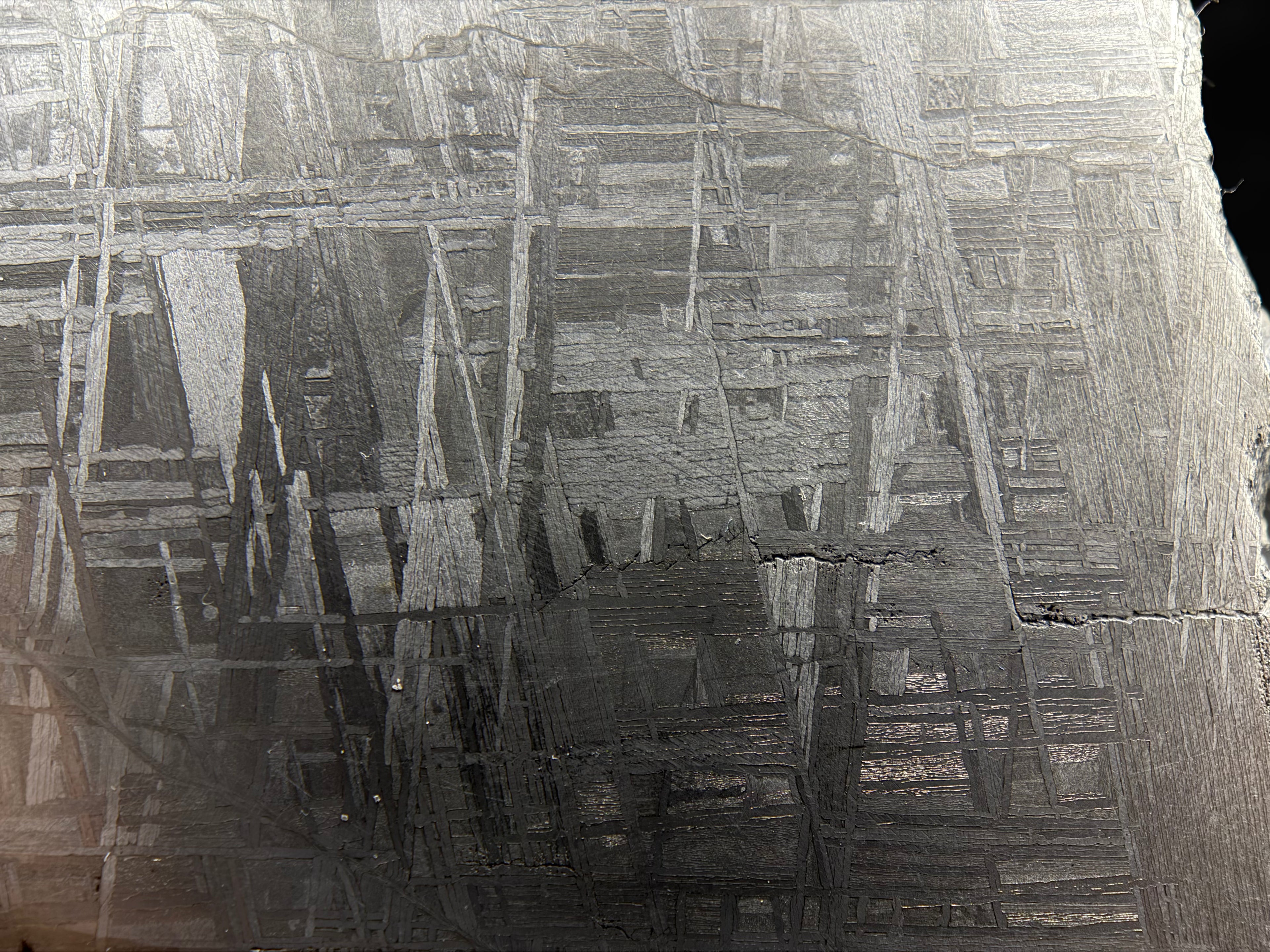 Muonionalusta IVA slice 330.81g -- contrast between nickel-poor kamacite and nickel-rich taenite phases