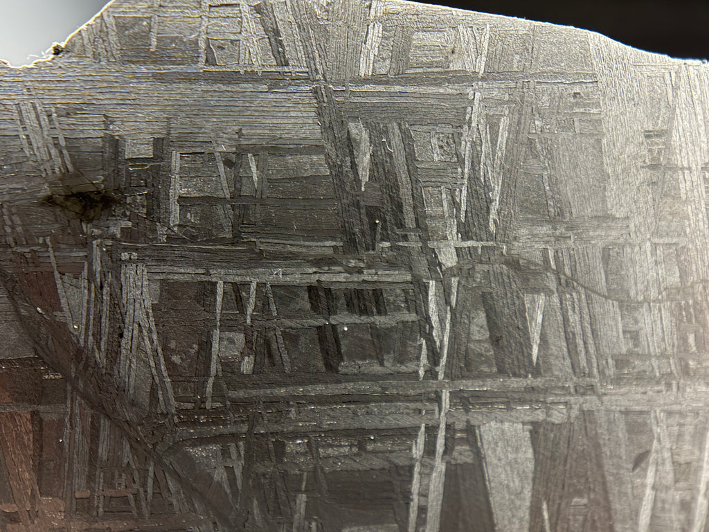 Muonionalusta IVA iron 330.81g -- macro view of taenite matrix surrounding kamacite crystals