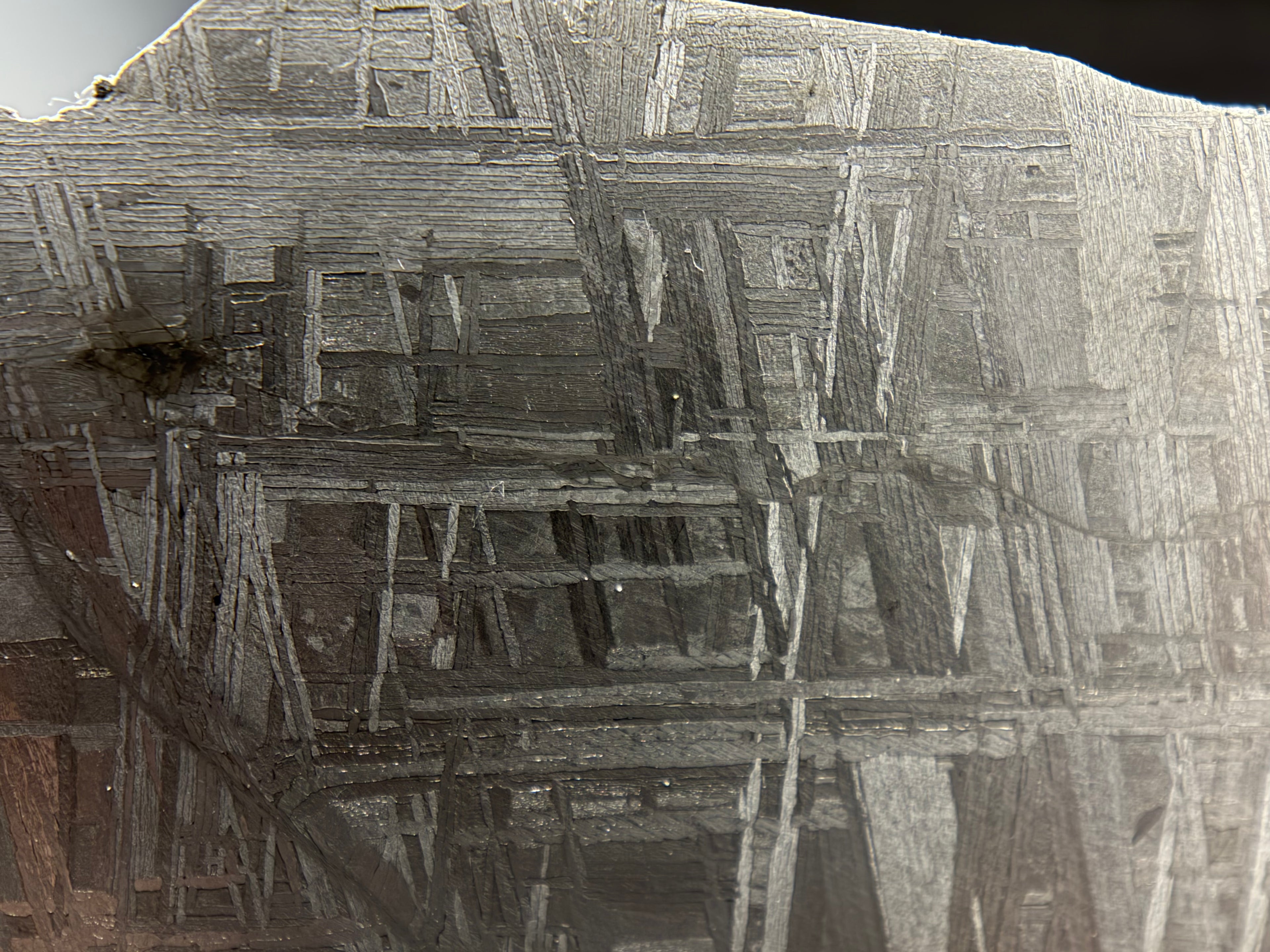 Muonionalusta IVA iron 330.81g -- macro view of taenite matrix surrounding kamacite crystals